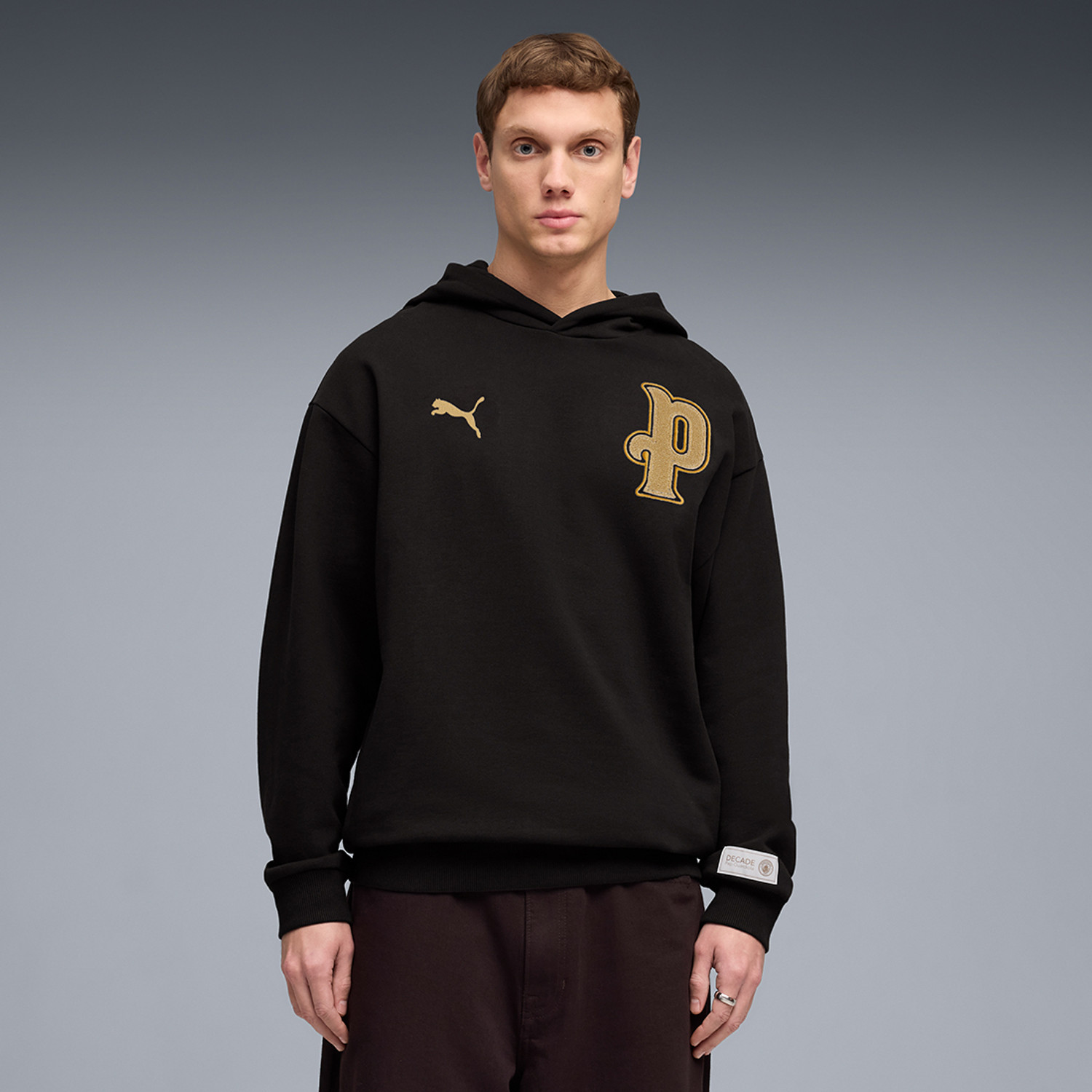 Image of PUMA Full Sleeve Printed Men Sweatshirt
