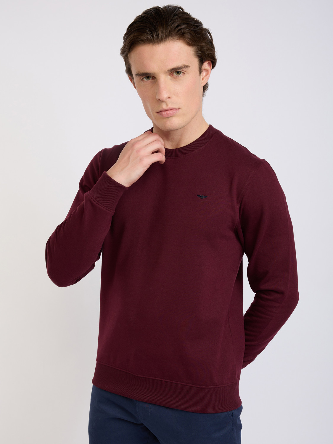 Image of PARK AVENUE Full Sleeve Solid Men Sweatshirt