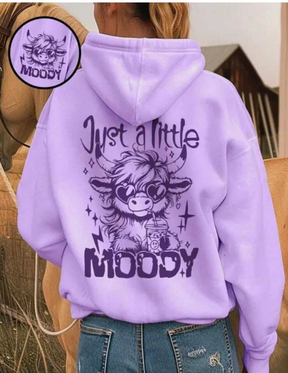 AVA Fashion Full Sleeve Printed Women Sweatshirt