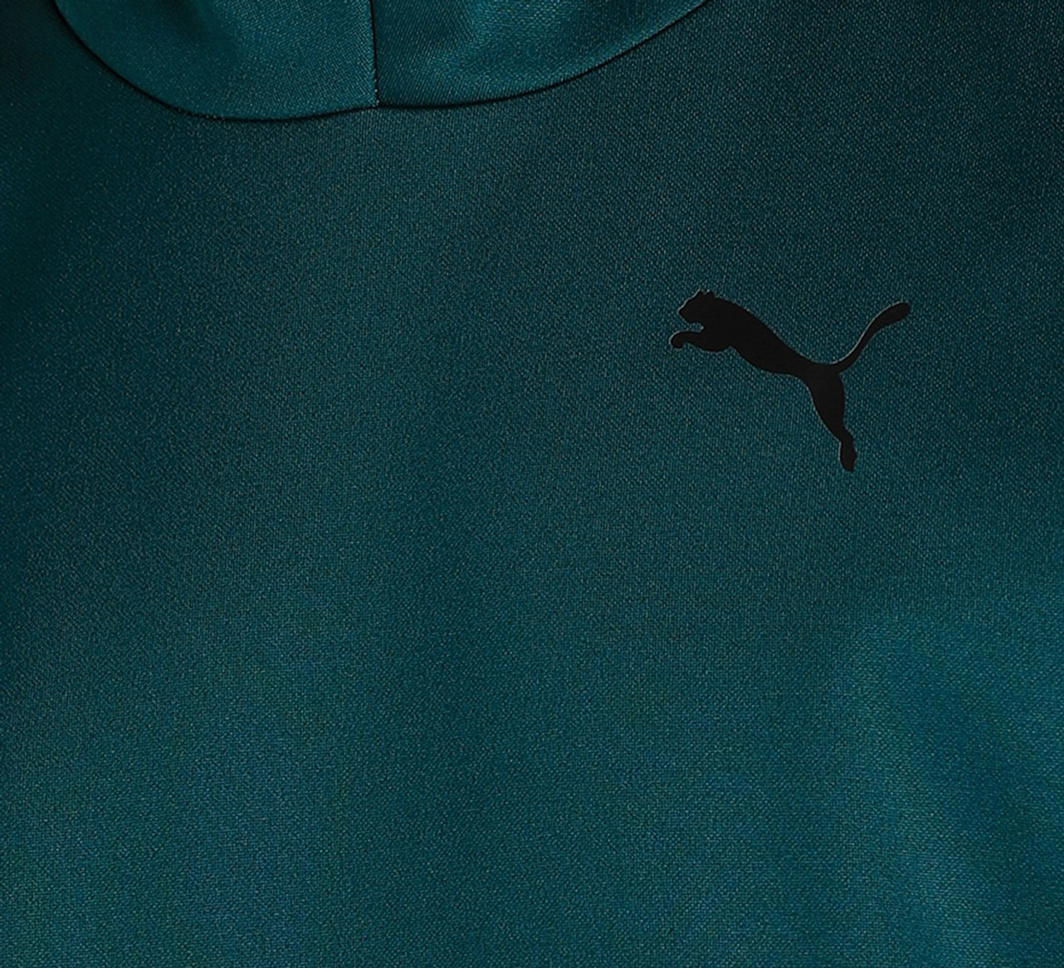 Image of PUMA Full Sleeve Color Block Men Sweatshirt