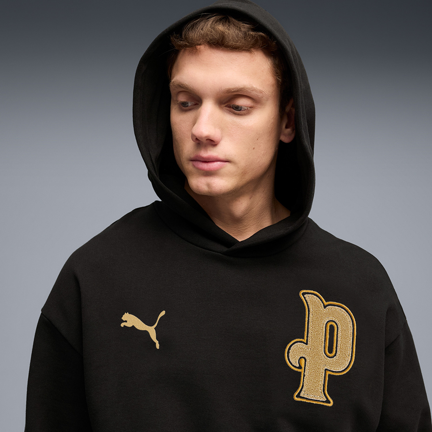 Image of PUMA Full Sleeve Printed Men Sweatshirt