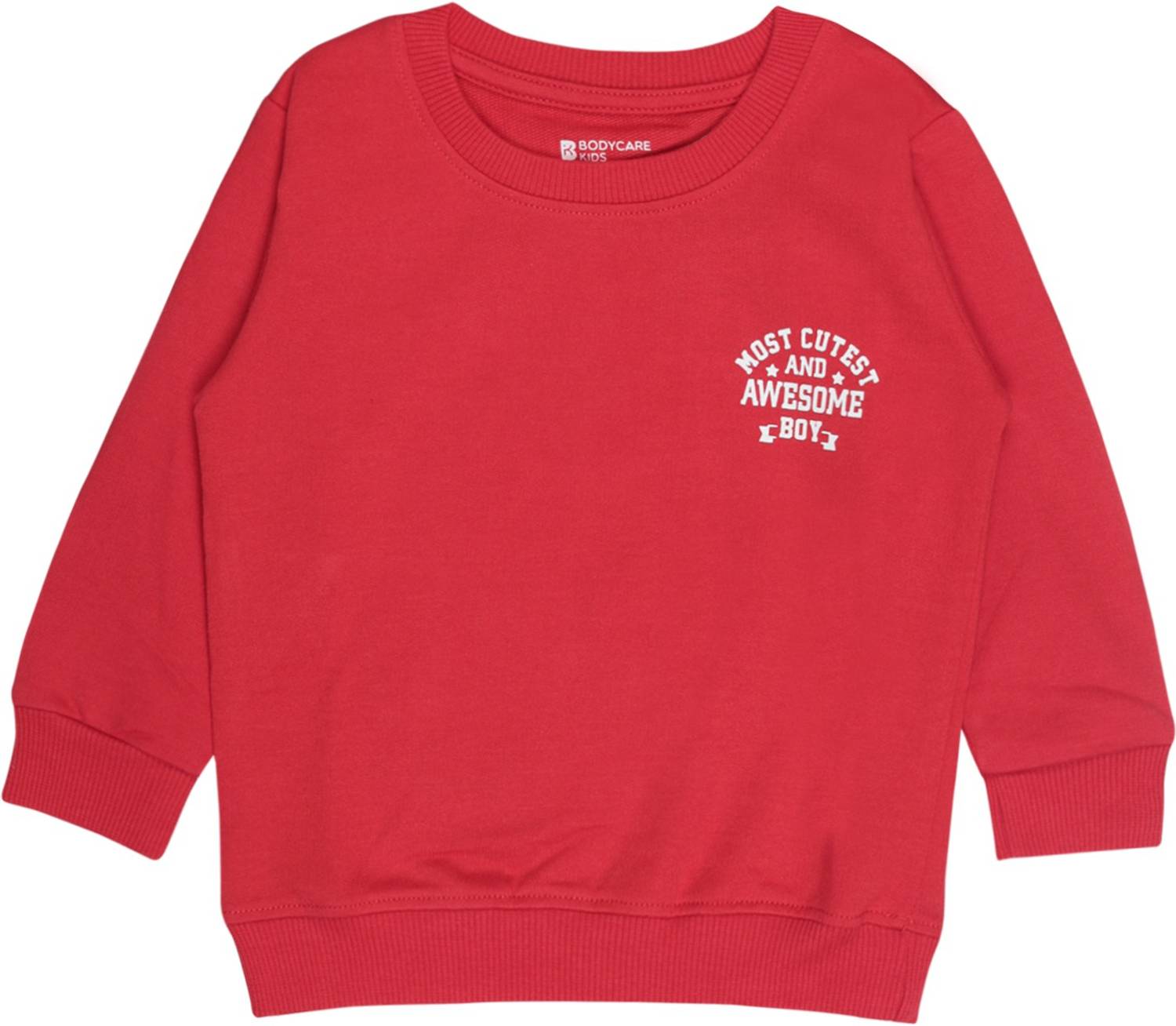 BodyCare Full Sleeve Printed Boys Sweatshirt