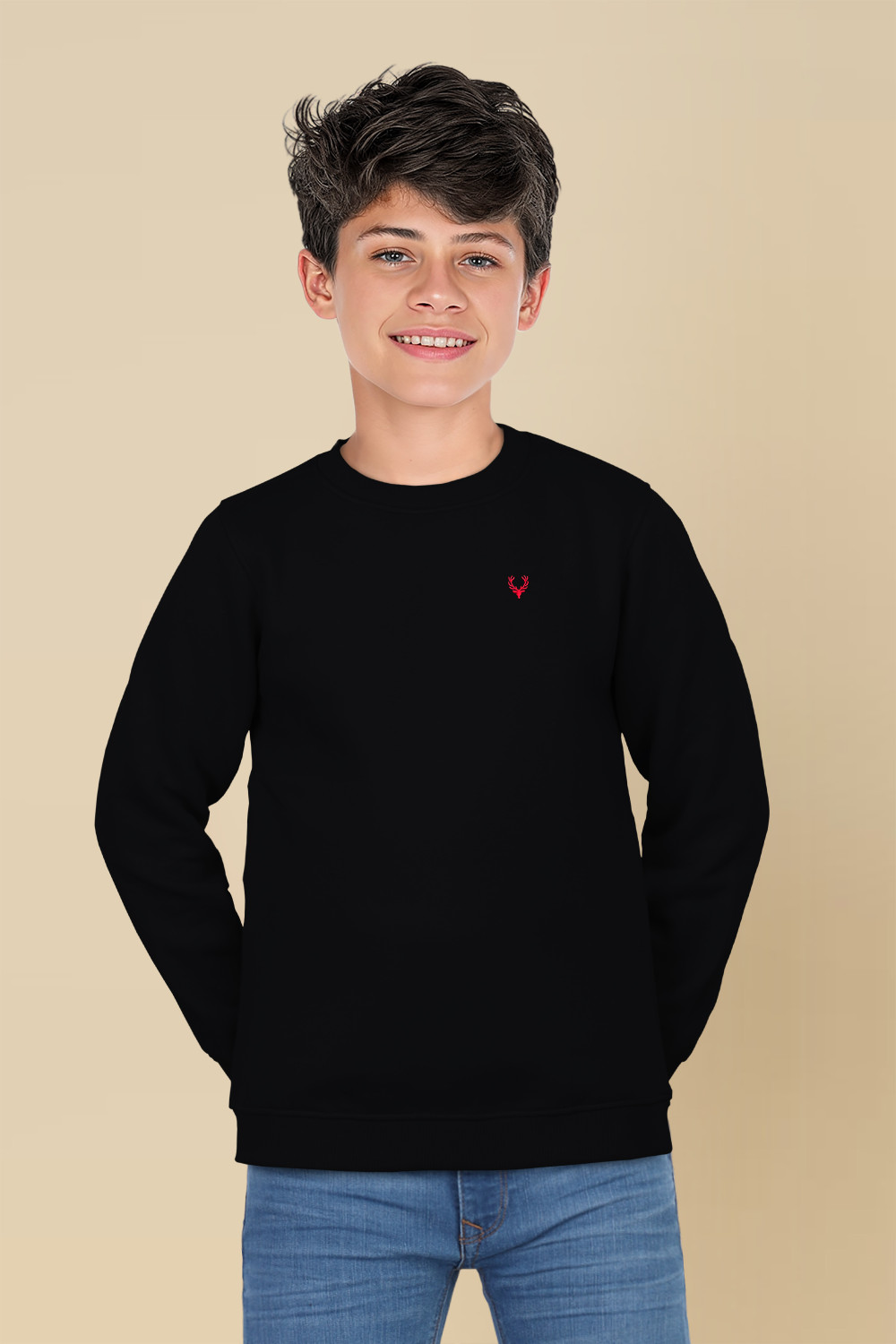 Image of Allen Solly Full Sleeve Solid Boys Sweatshirt