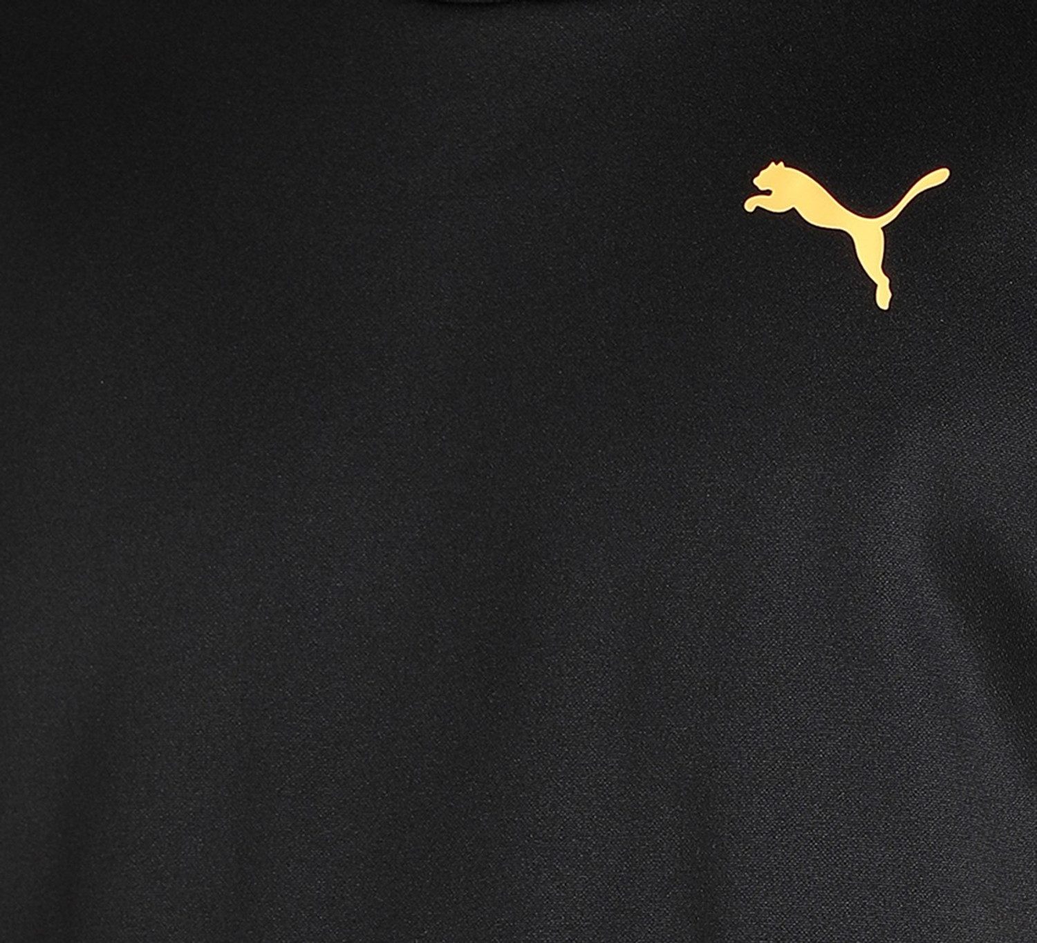 Image of PUMA Full Sleeve Color Block Men Sweatshirt