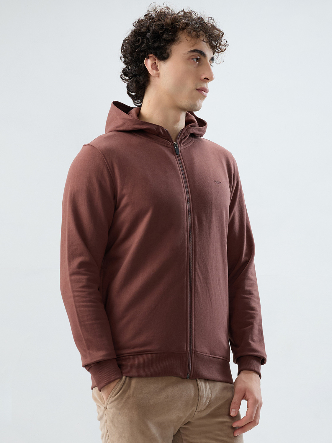 Image of PARK AVENUE Full Sleeve Solid Men Sweatshirt