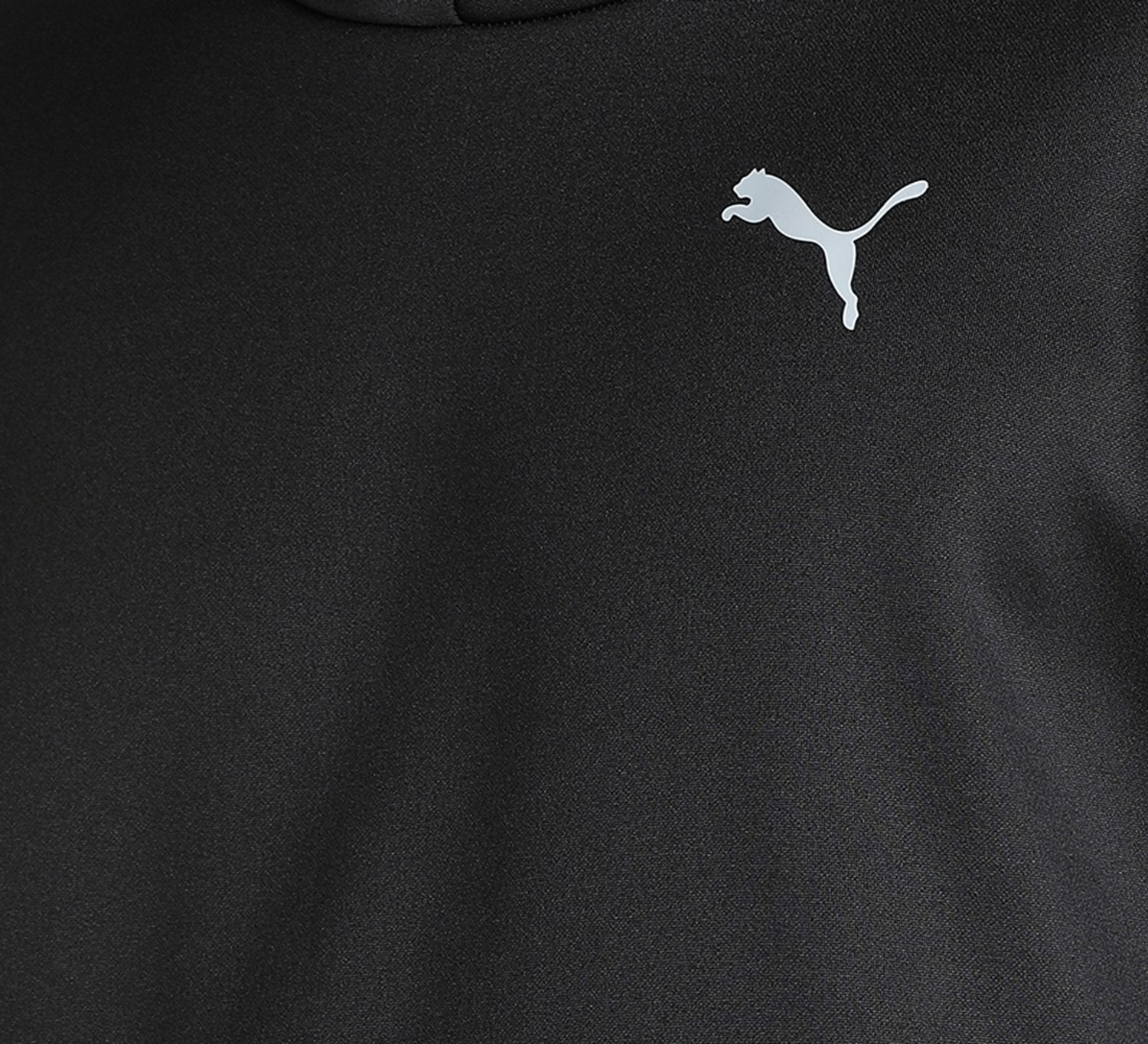 Image of PUMA Full Sleeve Color Block Men Sweatshirt