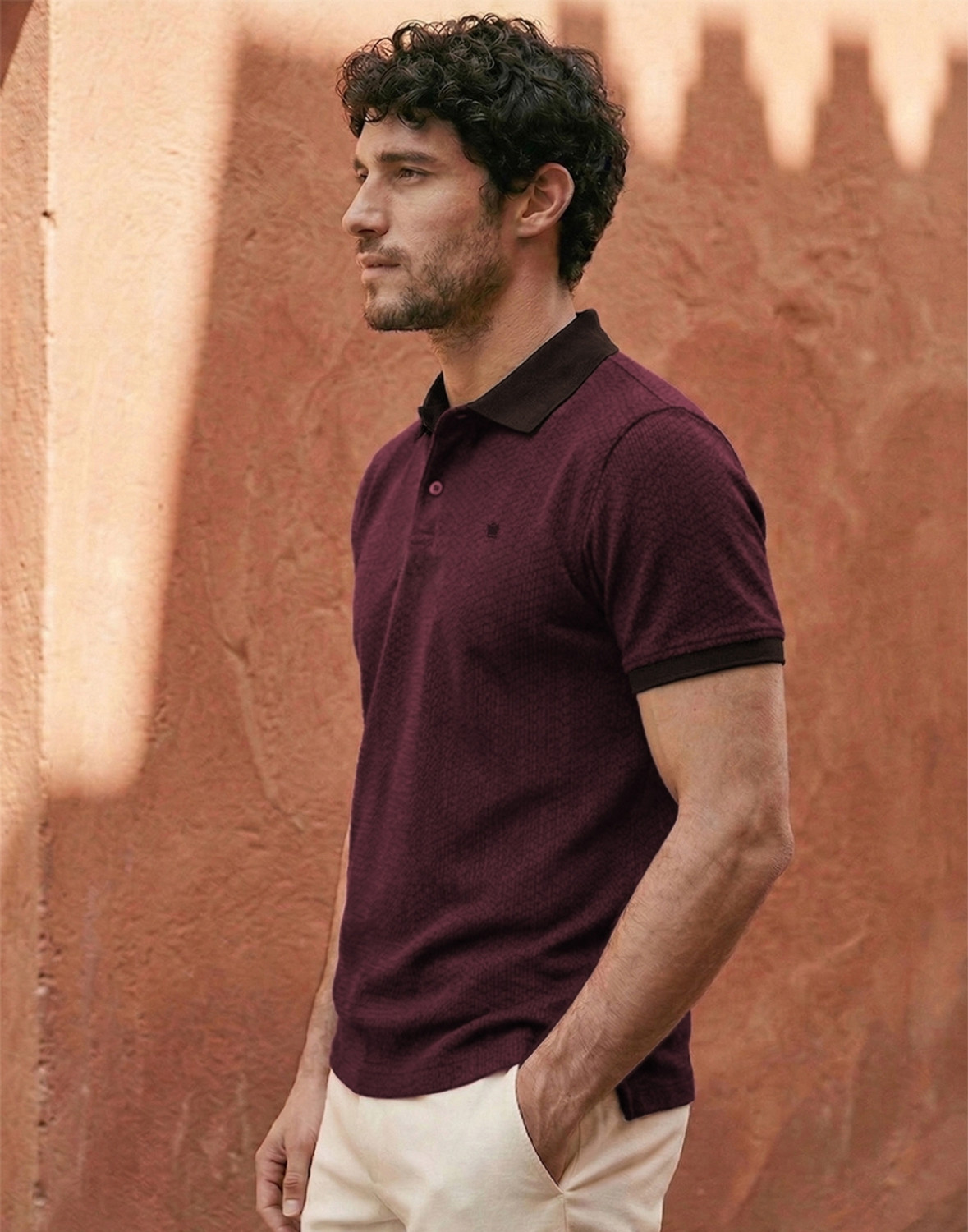 Image of LOUIS PHILIPPE Solid Men Polo Neck Maroon T-Shirt