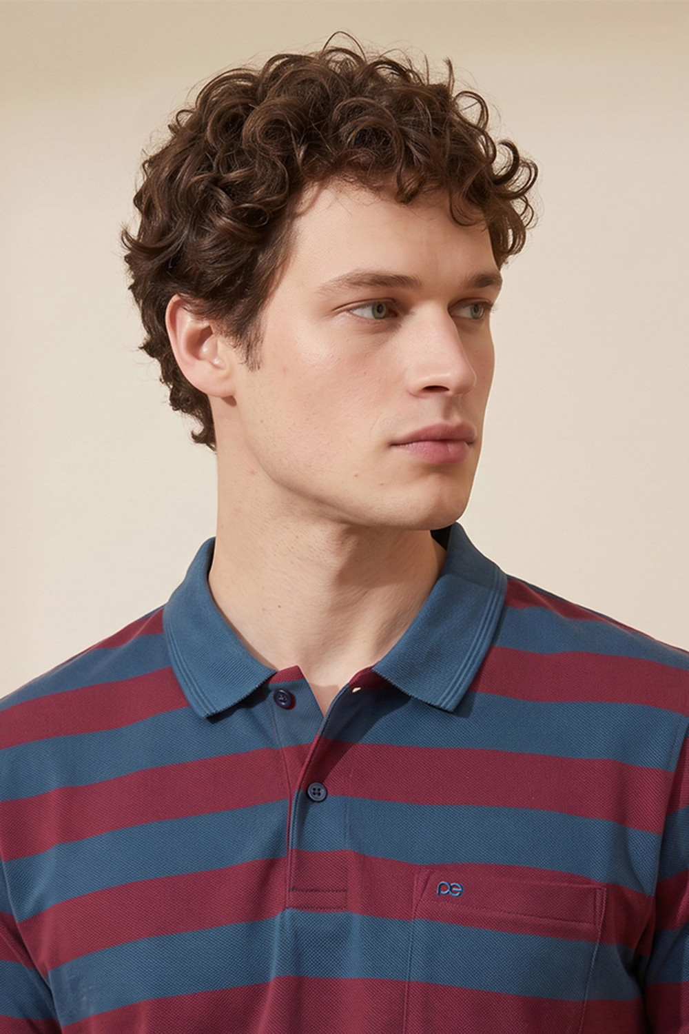 Image of PETER ENGLAND Striped Men Polo Neck Blue T-Shirt