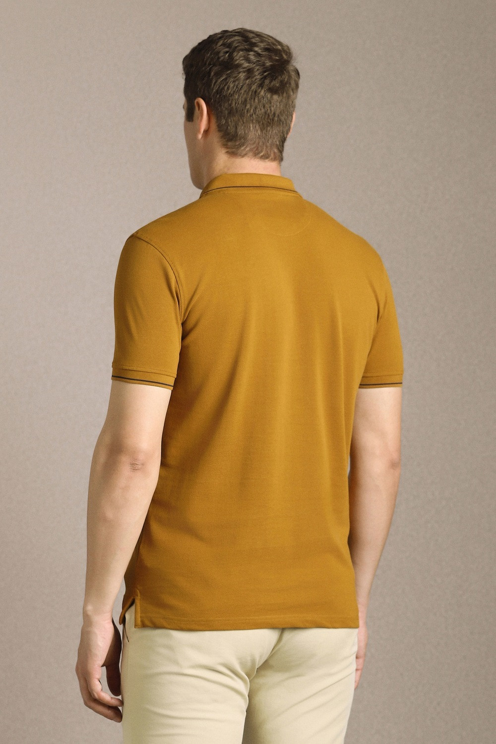 Image of LOUIS PHILIPPE Solid Men Polo Neck Brown T-Shirt