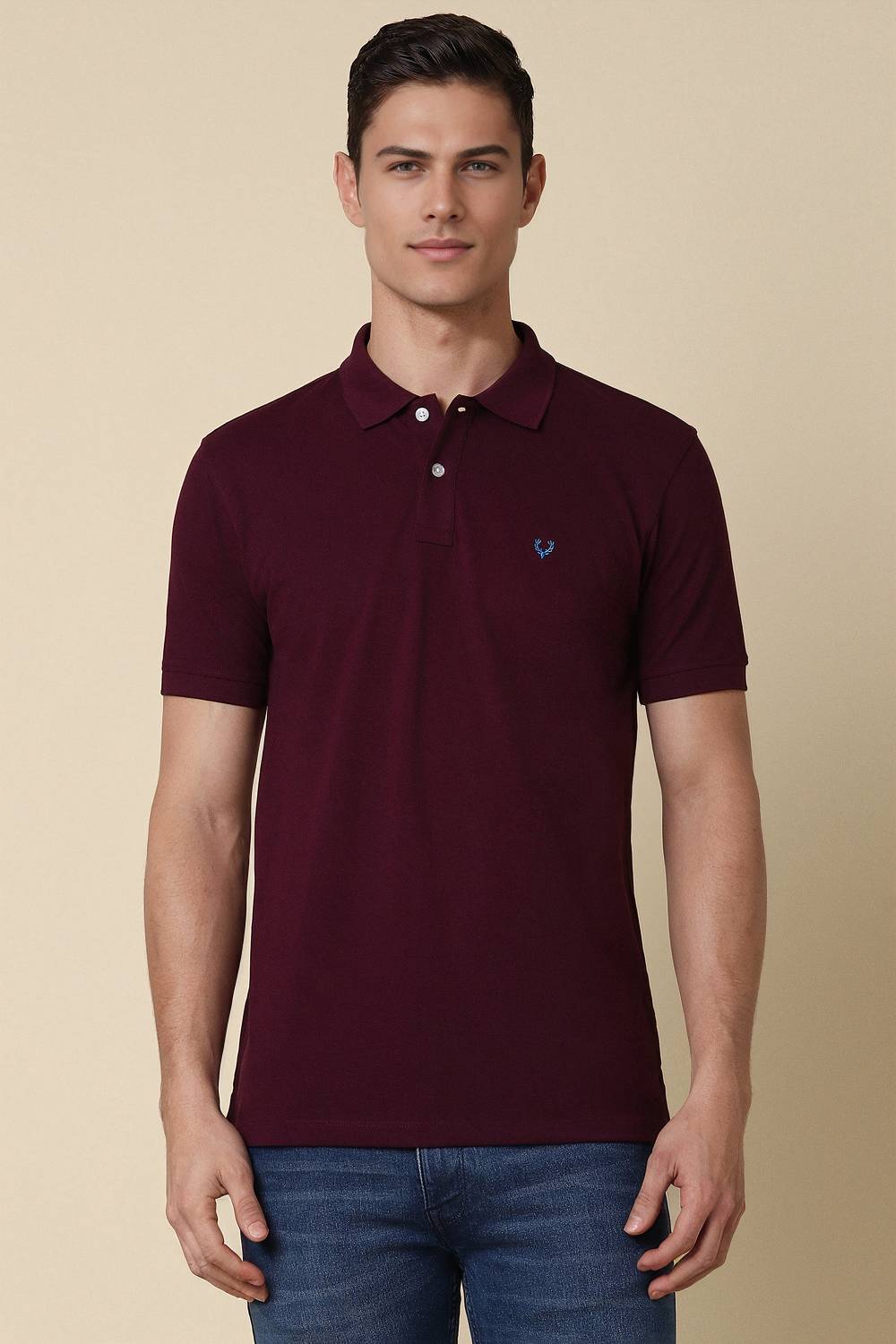 Allen Solly Men Solid Polo Neck Cotton Blend Maroon T-Shirt