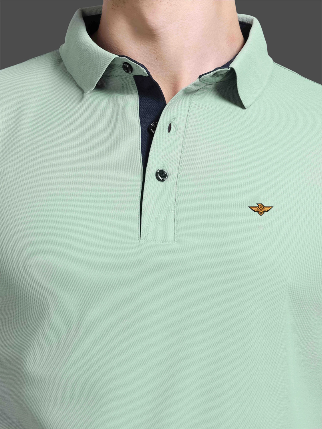 Image of Stellers Solid Men Polo Neck Light Green T-Shirt