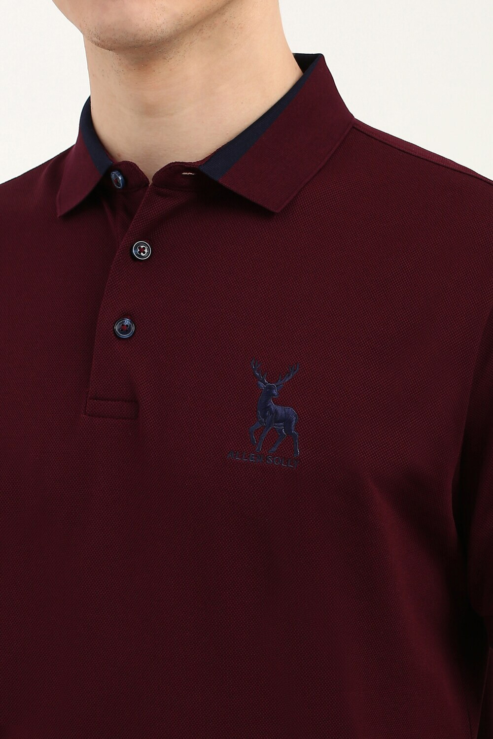 Image of Allen Solly Solid Men Polo Neck Maroon T-Shirt