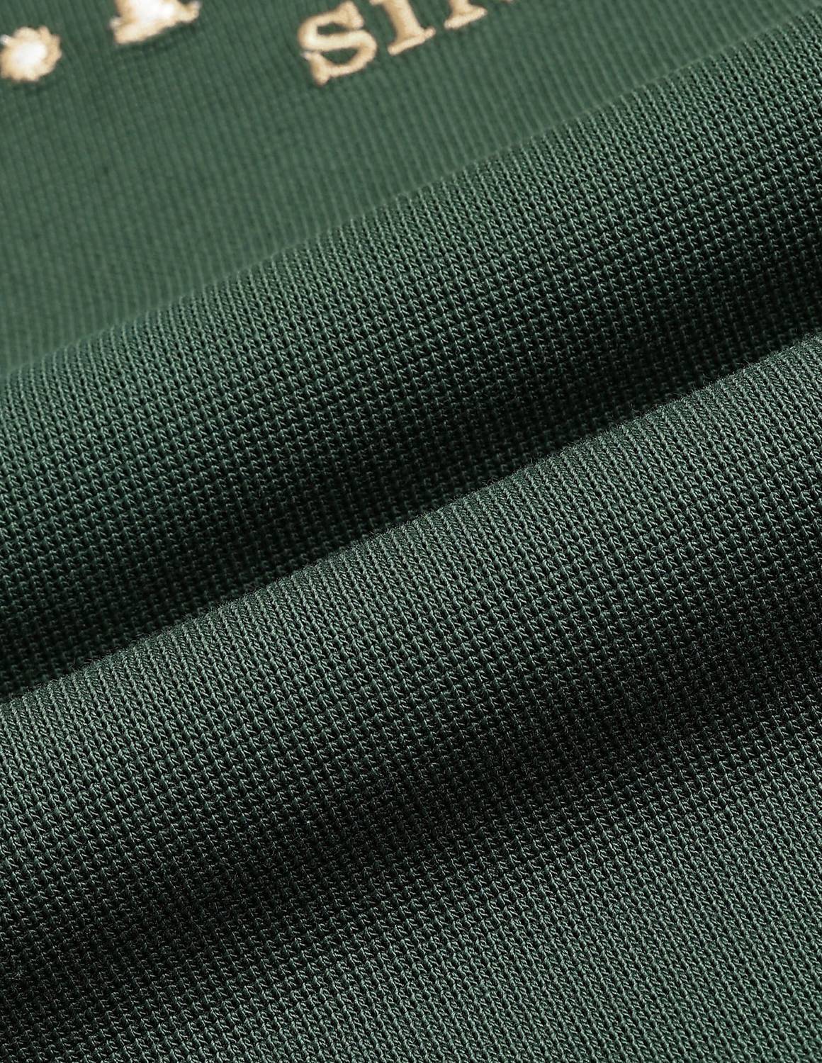 U.S. POLO ASSN. Green Men Polo Neck T-Shirt - Image 2