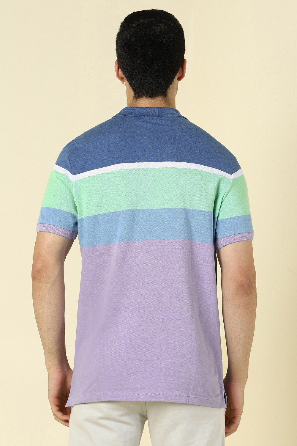 Image of Allen Solly Striped Men Polo Neck Multicolor T-Shirt