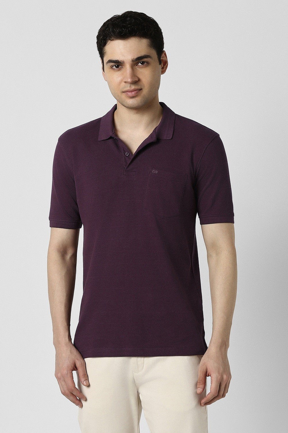 Image of PETER ENGLAND Solid Men Polo Neck Purple T-Shirt