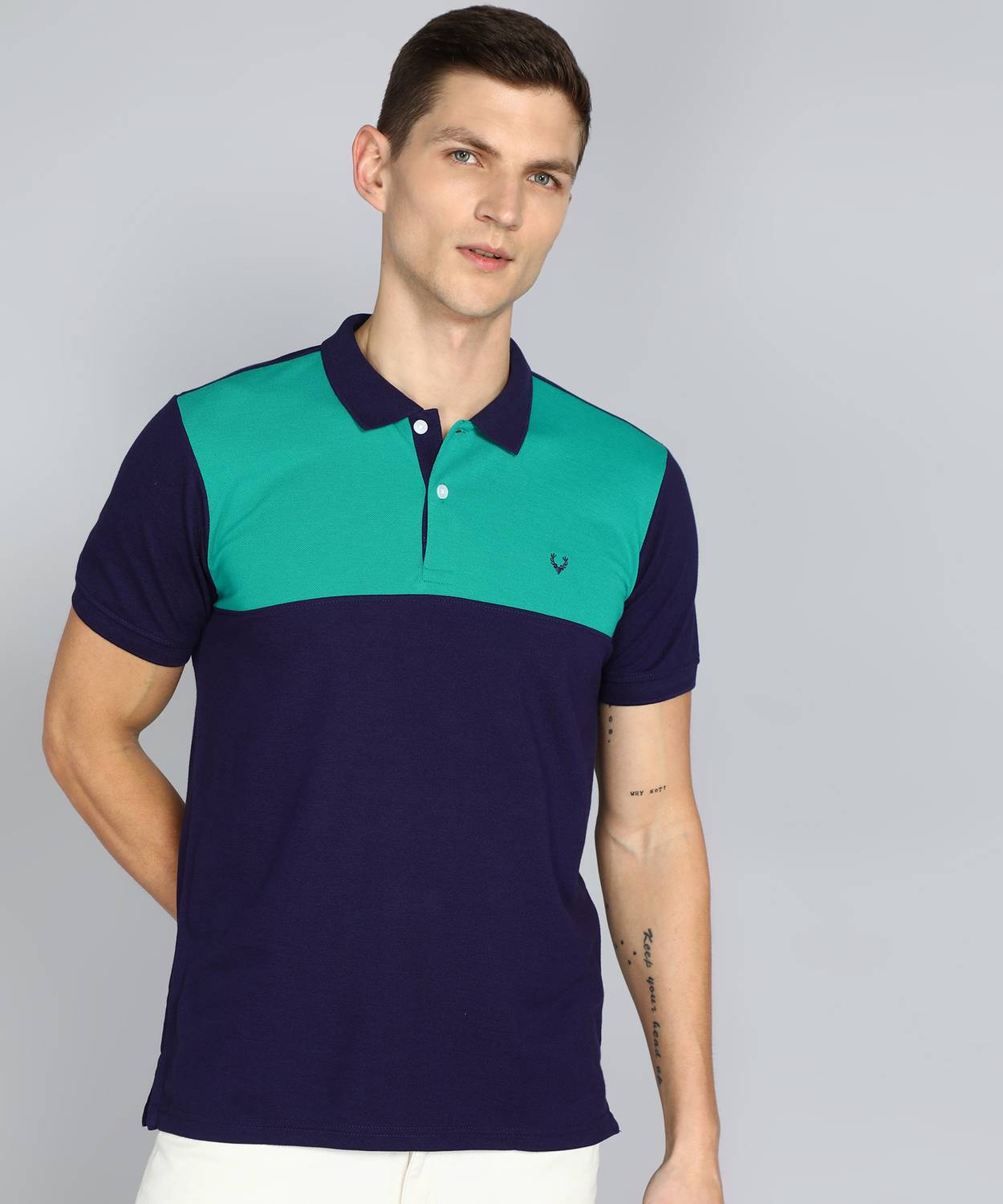 Allen Solly Men Colorblock Polo Neck Cotton Blend Blue, Green T-S