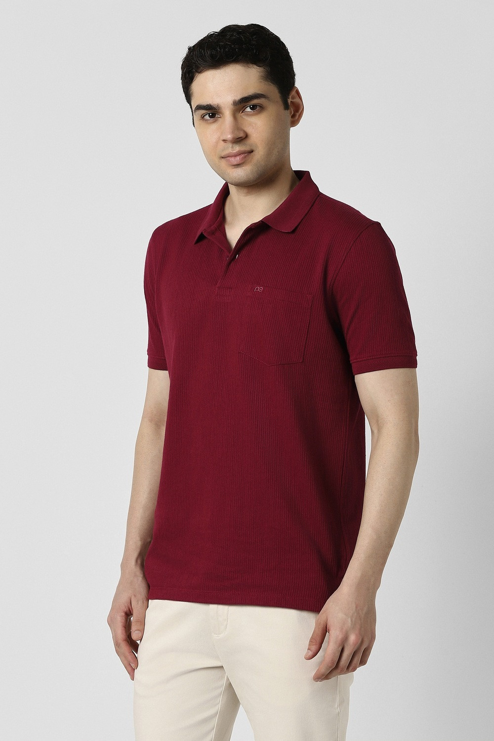 Image of PETER ENGLAND Solid Men Polo Neck Maroon T-Shirt
