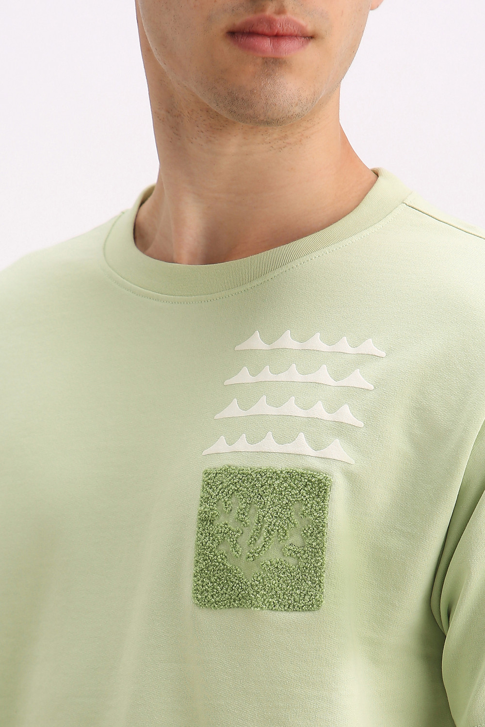 Image of Allen Solly Embroidered Men Crew Neck Green T-Shirt