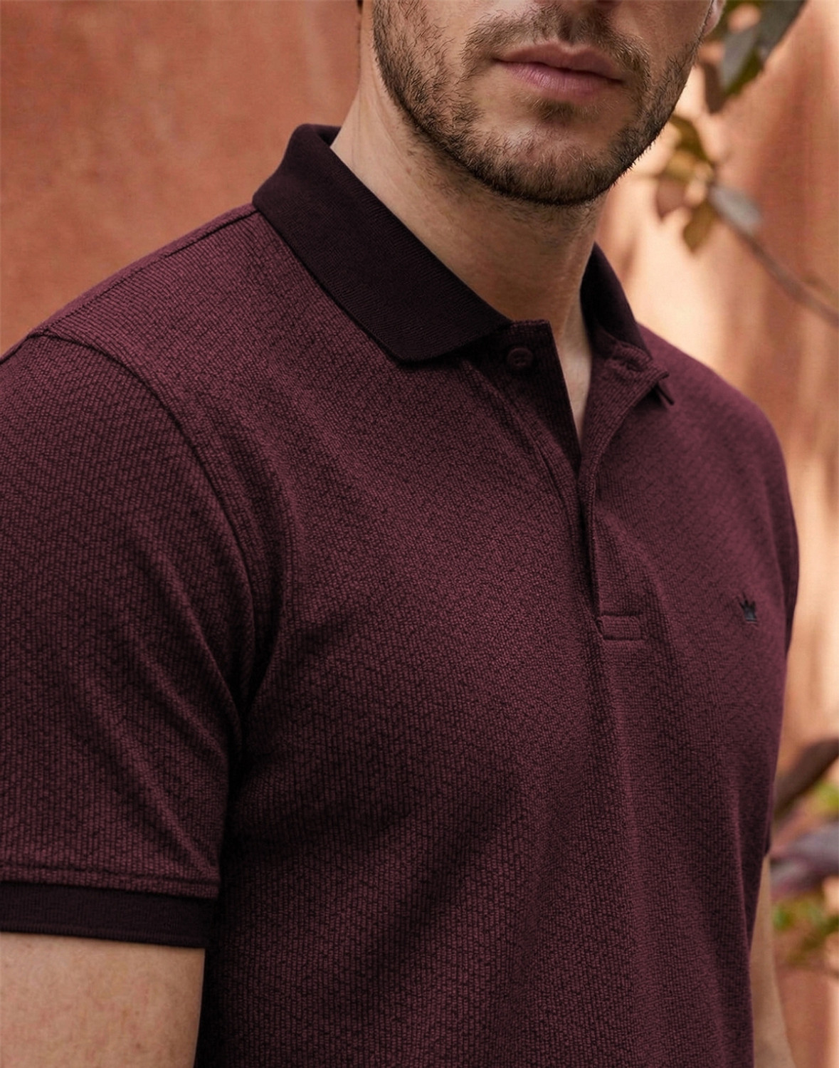 Image of LOUIS PHILIPPE Solid Men Polo Neck Maroon T-Shirt