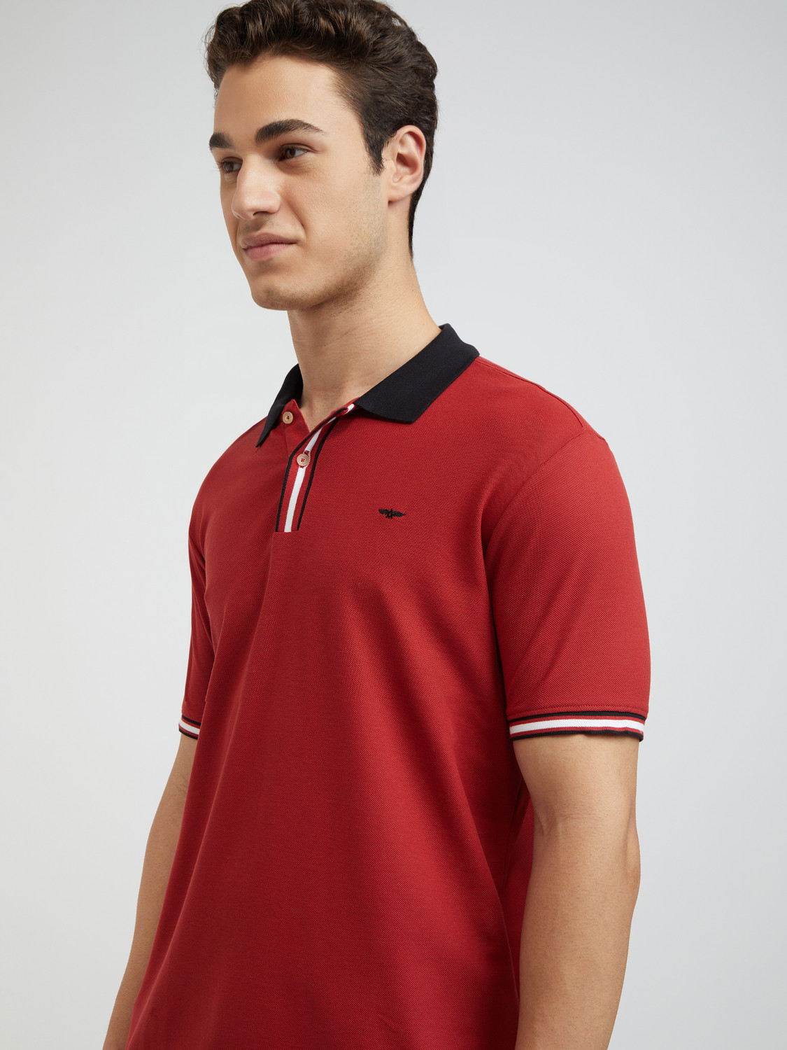 Image of PARK AVENUE Men Solid Polo Neck Cotton Blend Red T-Shirt