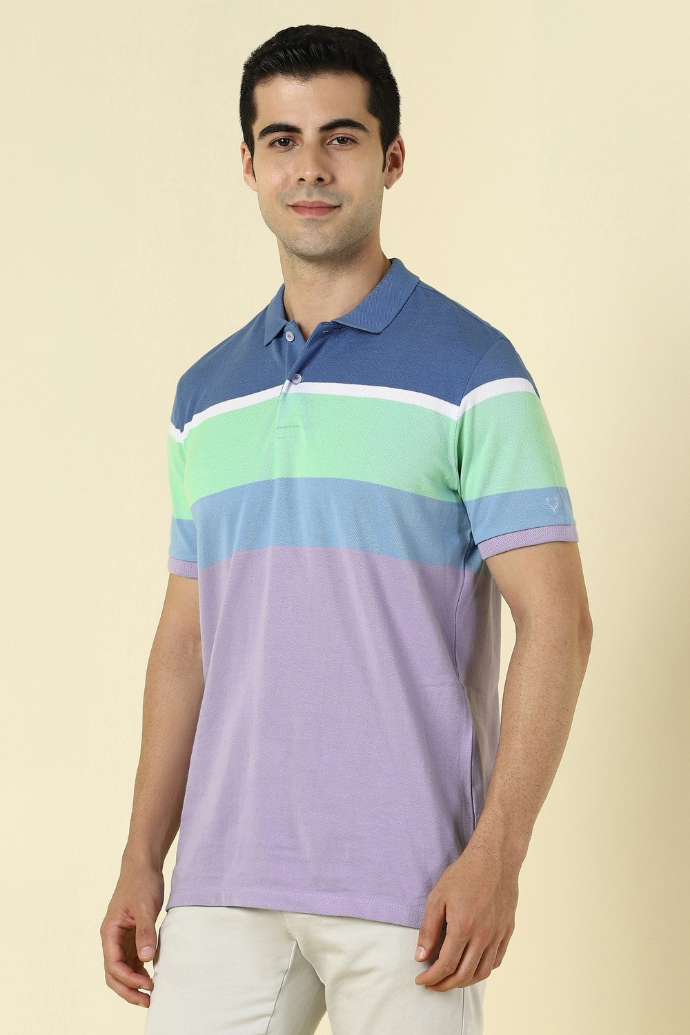 Image of Allen Solly Striped Men Polo Neck Multicolor T-Shirt