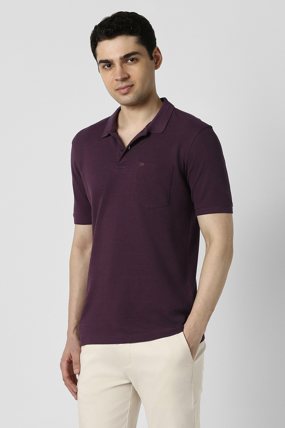 Image of PETER ENGLAND Solid Men Polo Neck Purple T-Shirt