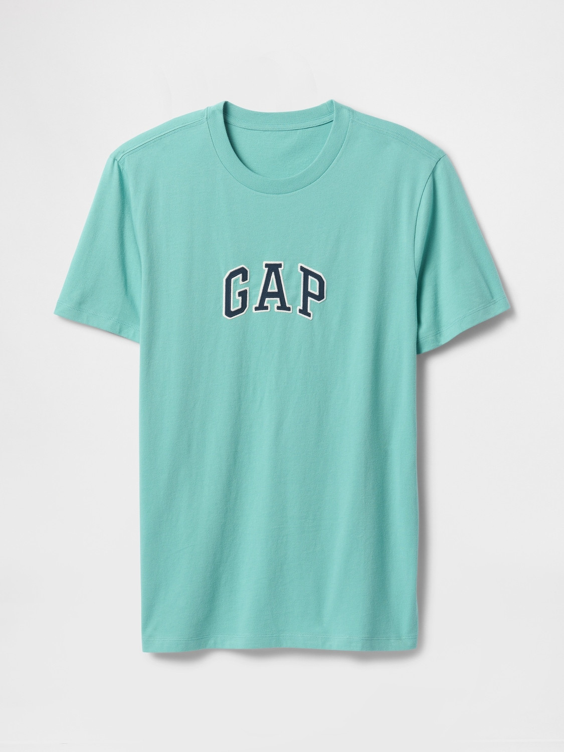 Image of GAP Printed Men Round Neck Blue T-Shirt