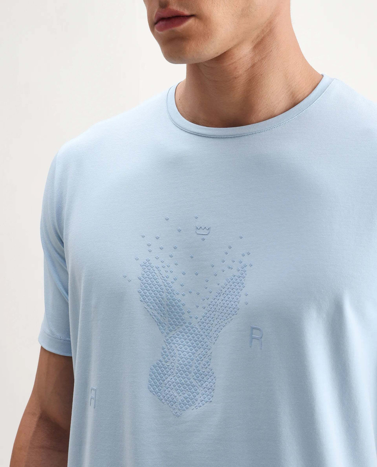 Image of RARE RABBIT Graphic Print Men Crew Neck Blue T-Shirt