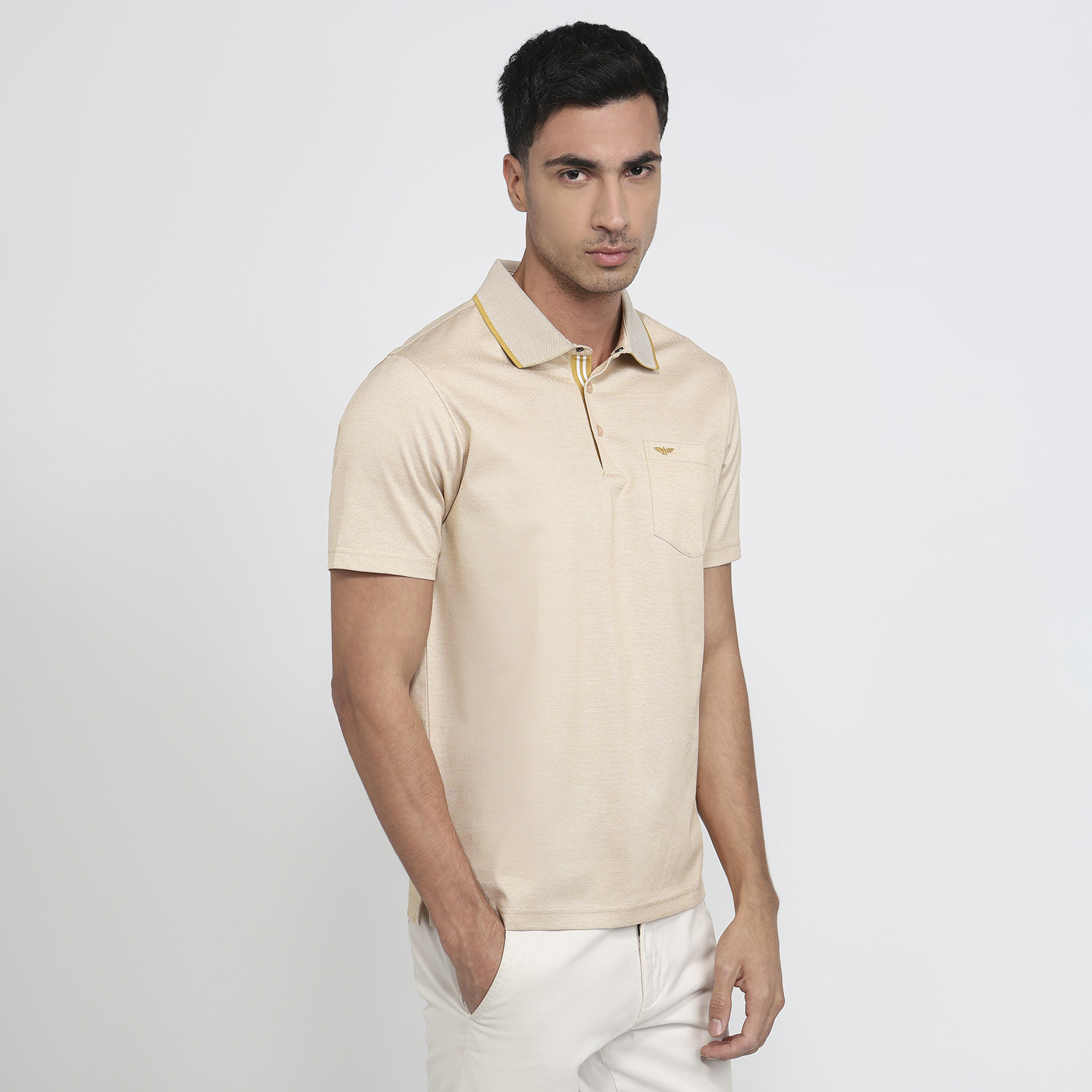 Image of PARK AVENUE Men Solid Polo Neck Pure Cotton Beige T-Shirt