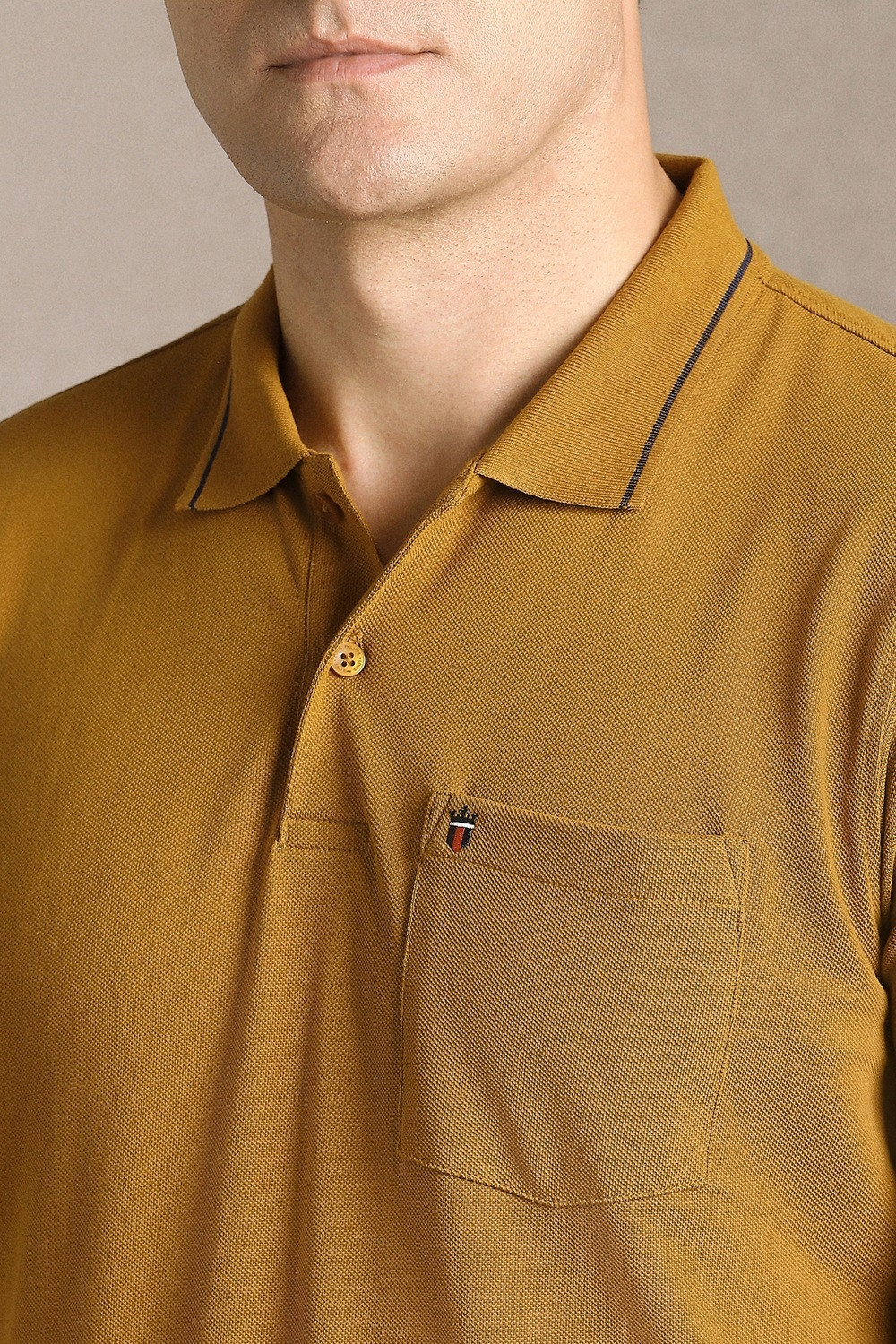 Image of LOUIS PHILIPPE Solid Men Polo Neck Brown T-Shirt