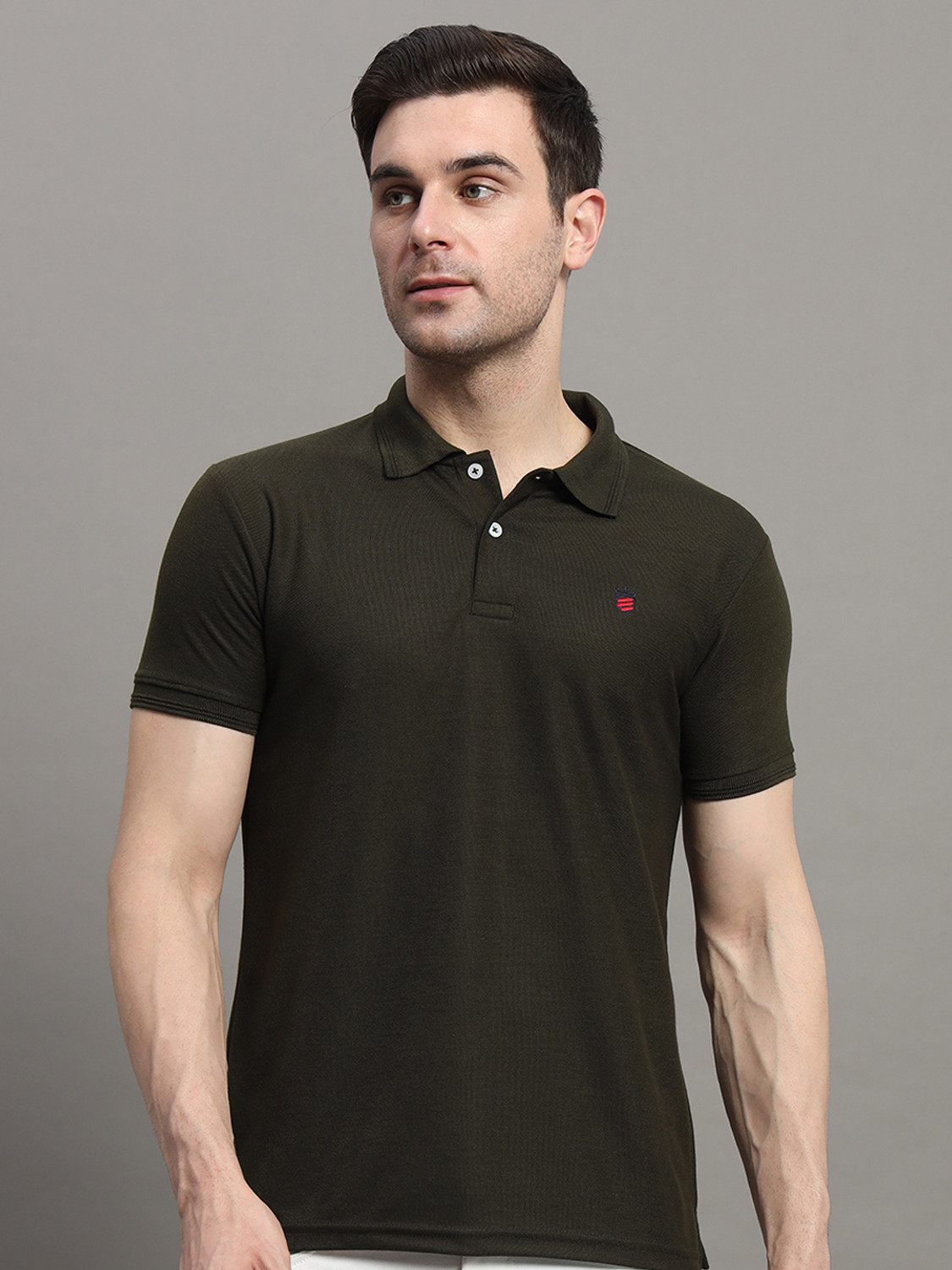 Image of RARHANPREMIUM Solid Men Polo Neck Dark Green T-Shirt