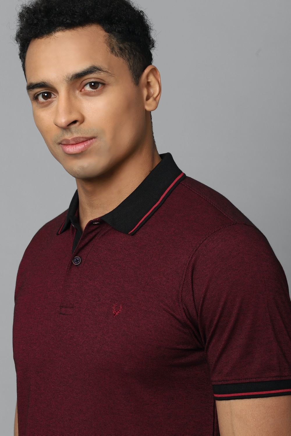 Image of Allen Solly Solid Men Polo Neck Maroon T-Shirt
