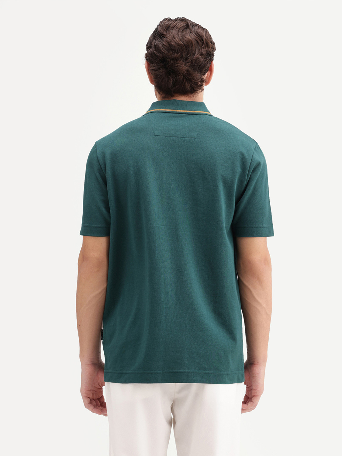 Image of RARE RABBIT Solid Men Polo Neck Green T-Shirt