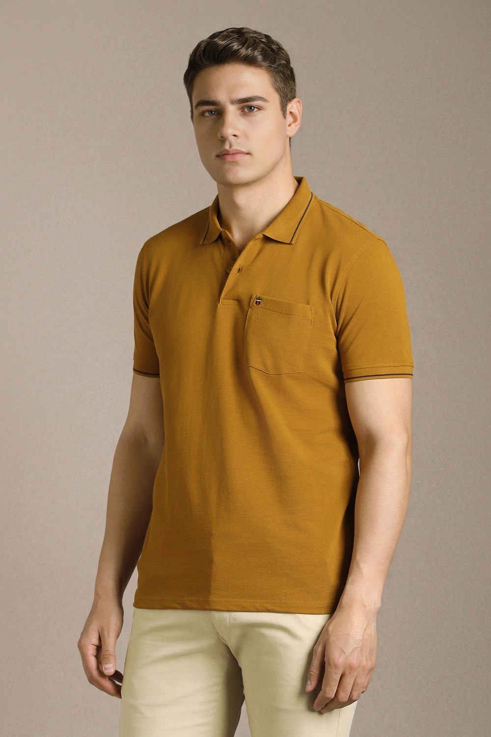 Image of LOUIS PHILIPPE Solid Men Polo Neck Brown T-Shirt