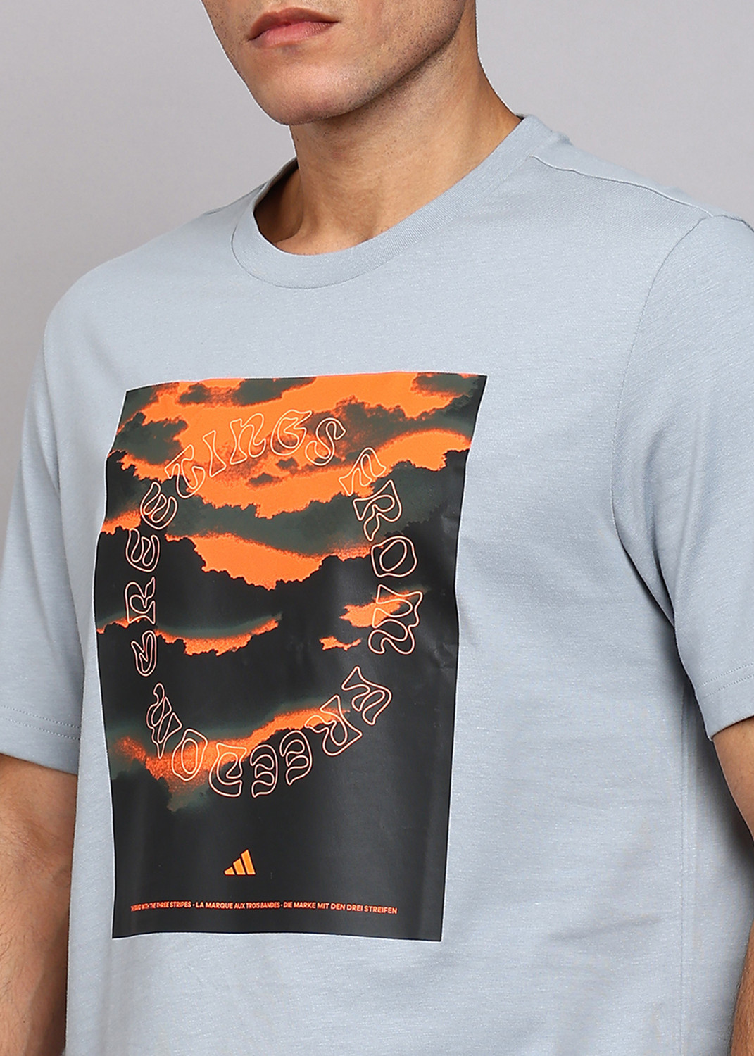 Image of ADIDAS Graphic Print Men Round Neck Grey T-Shirt