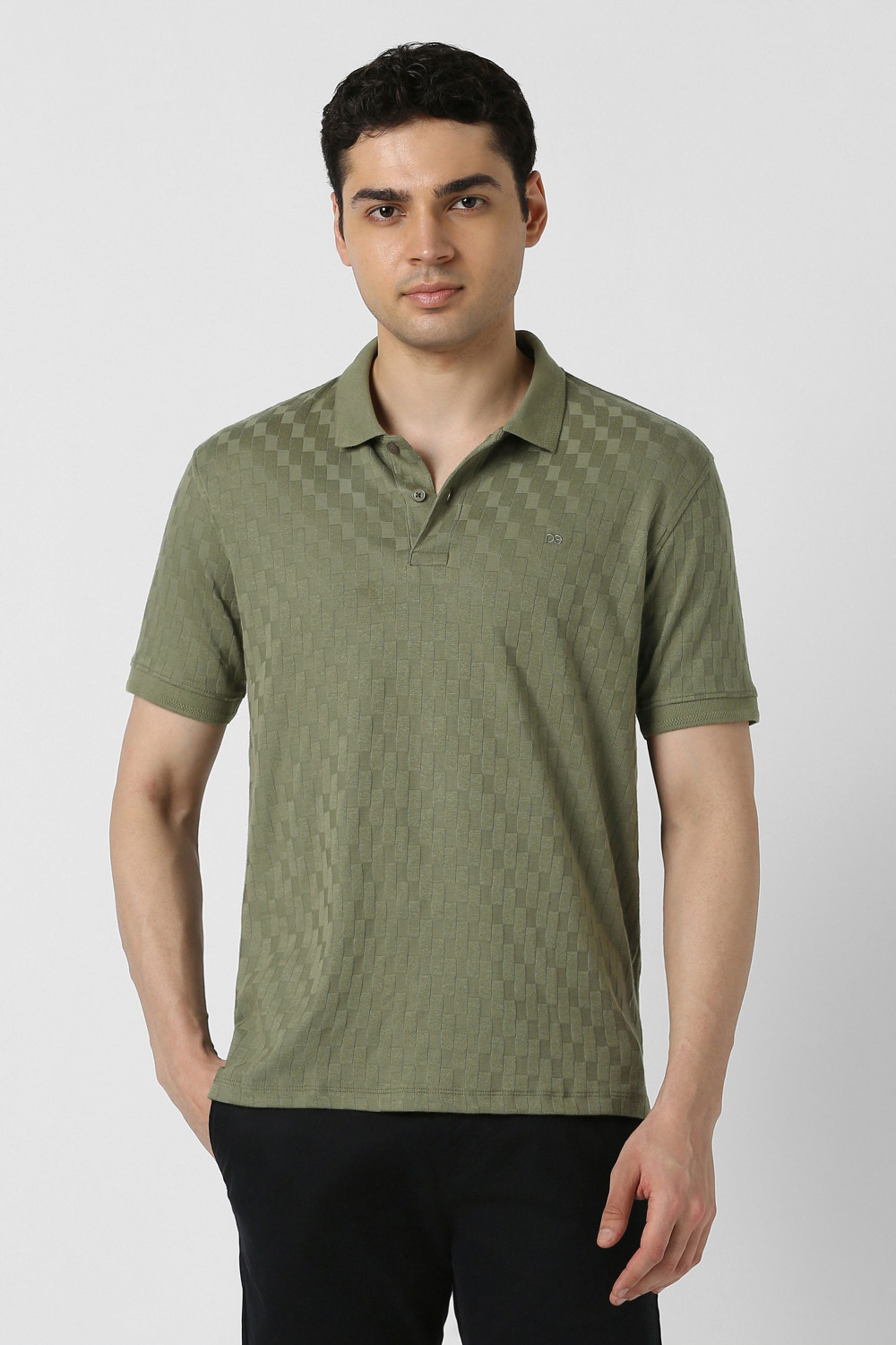 Image of PETER ENGLAND Self Design Men Polo Neck Light Green T-Shirt