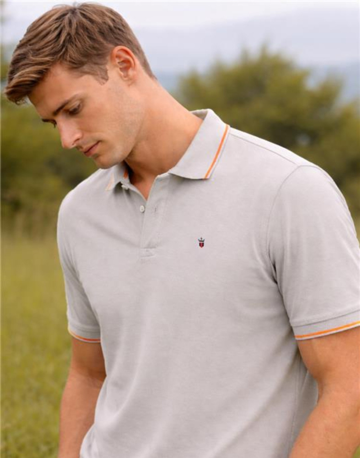 Image of LOUIS PHILIPPE Solid Men Polo Neck Grey T-Shirt
