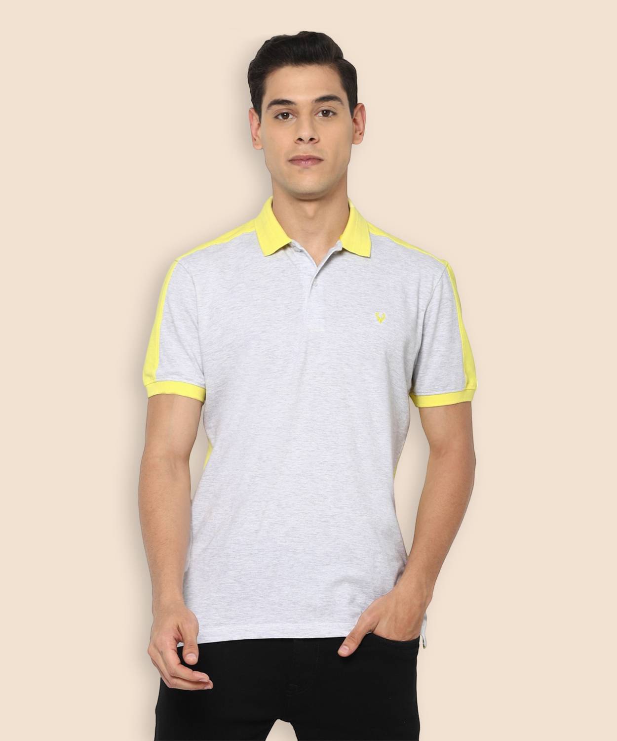 Allen Solly Colorblock Men Polo Neck Grey T-Shirt