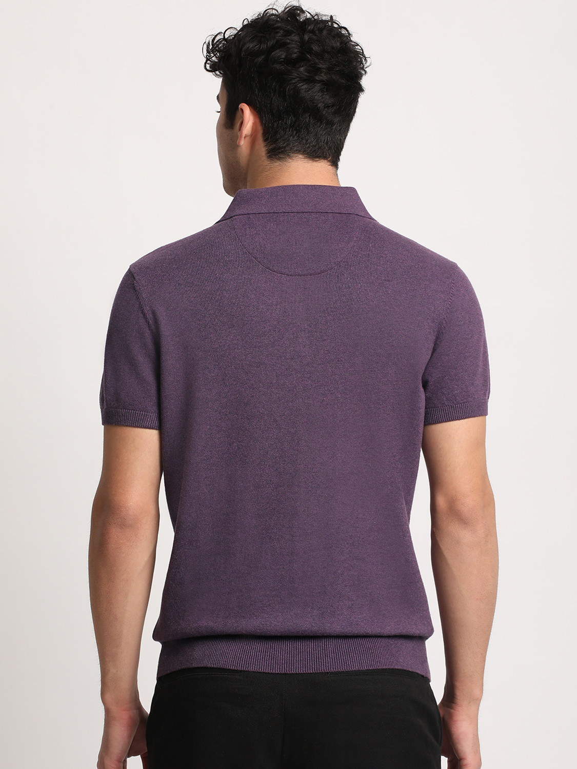 Image of THE BEAR HOUSE Solid Men Polo Neck Purple T-Shirt
