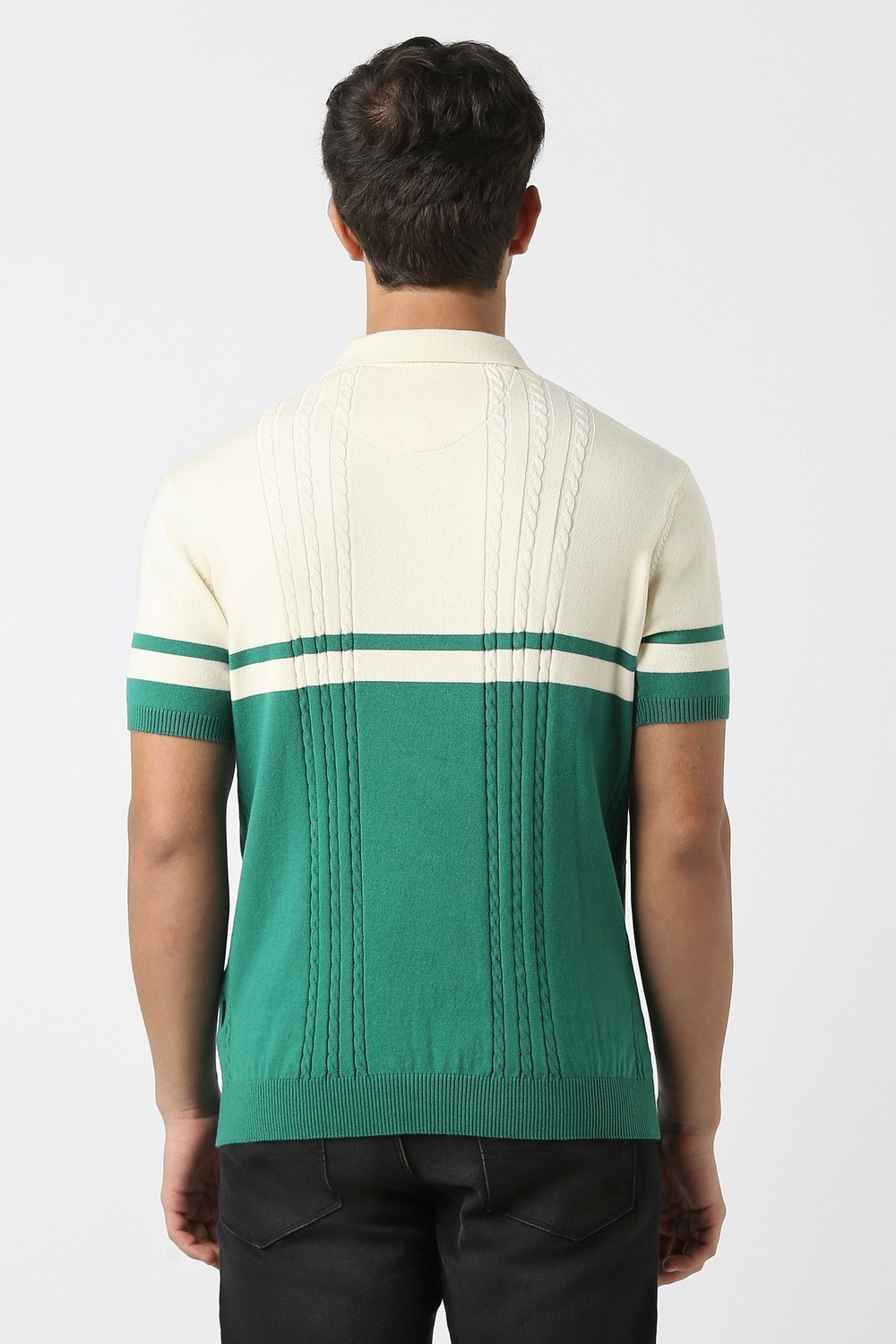 Image of PETER ENGLAND Self Design Men Polo Neck Multicolor T-Shirt