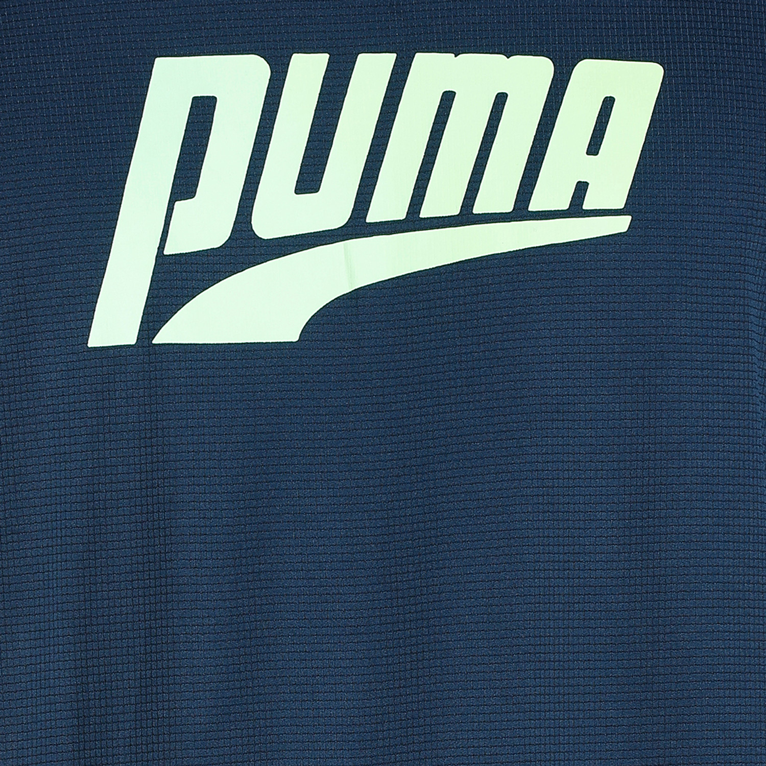 Image of PUMA Solid Men Crew Neck Blue T-Shirt