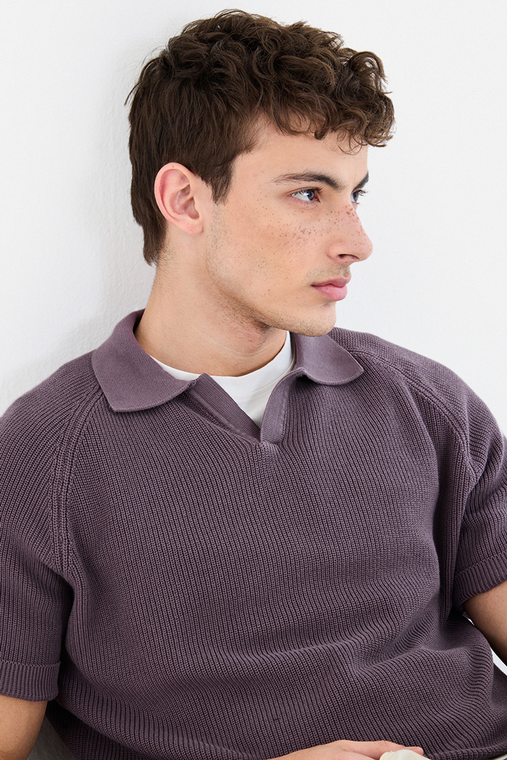 Image of Snitch Solid Men Polo Neck Purple T-Shirt