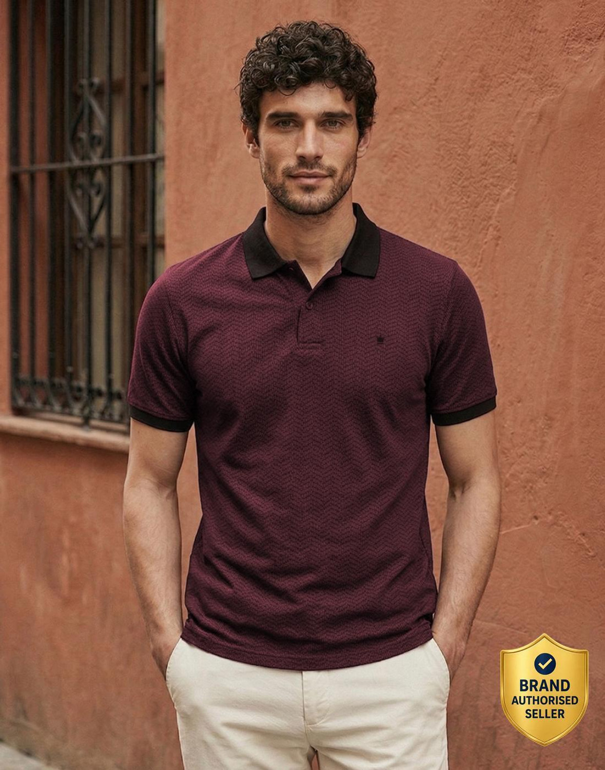 Image of LOUIS PHILIPPE Solid Men Polo Neck Maroon T-Shirt