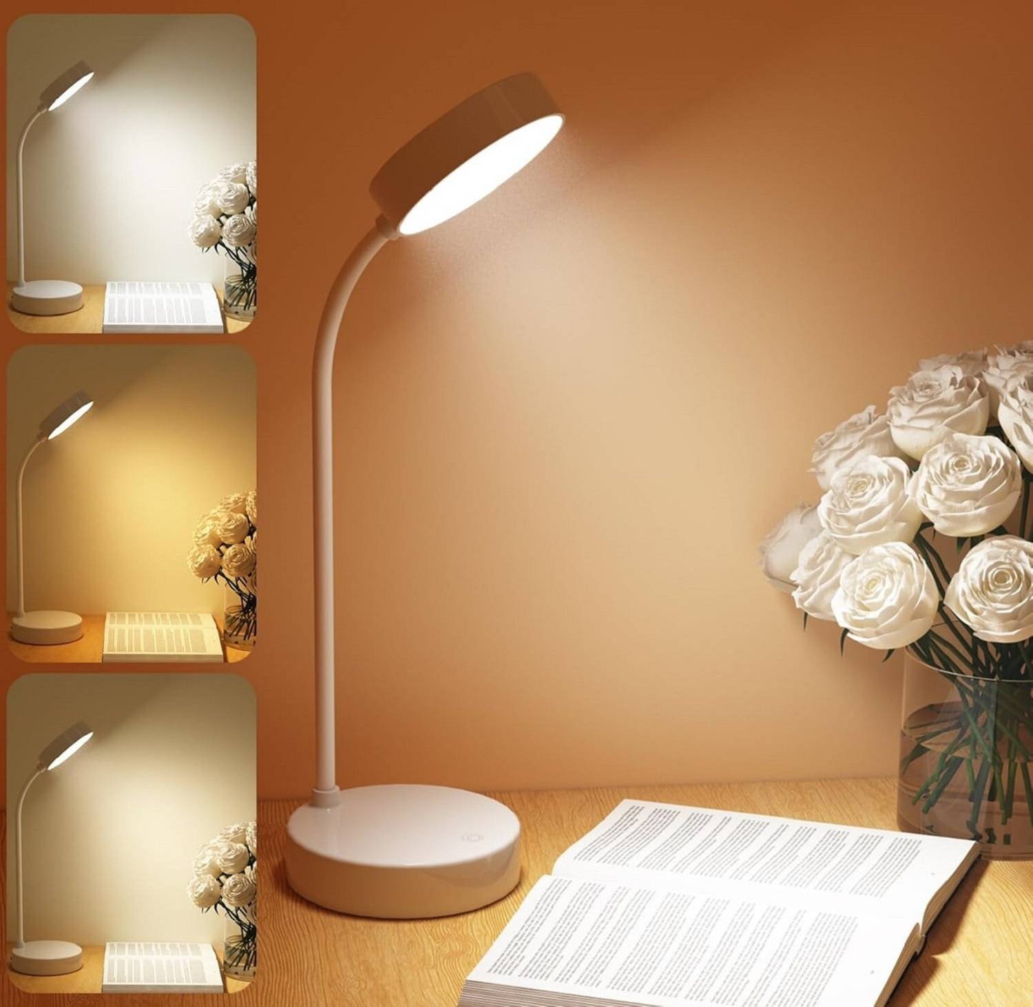 AKR Study Lamp Rechargeable LED Touch On/Off Switch Desk Lamp Tab