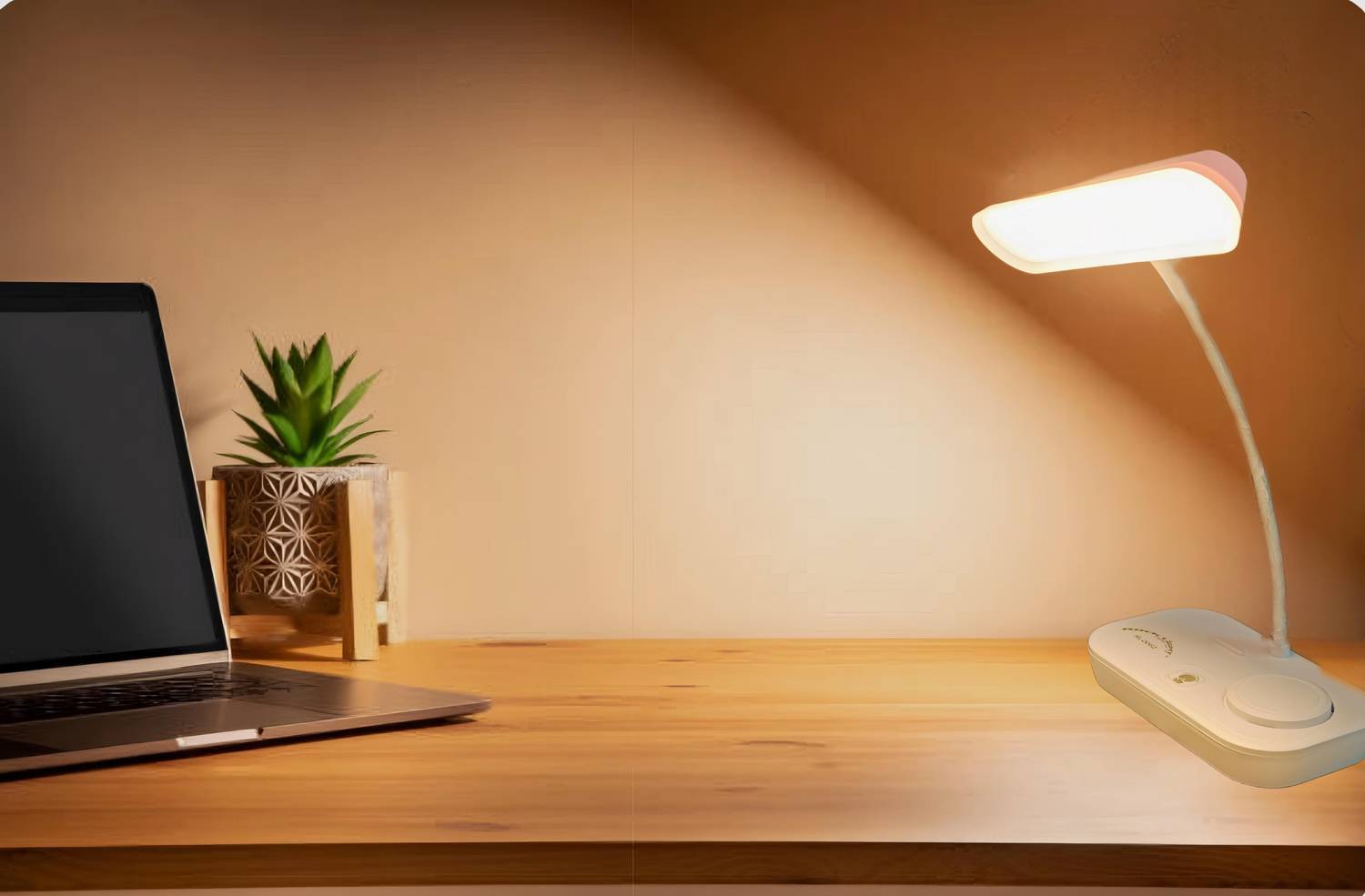 touch lamp rechargeable table lamp amazon SSPRO Rechargeable LED Touch Lamp 12-Hour Battery Backup Study Lamp