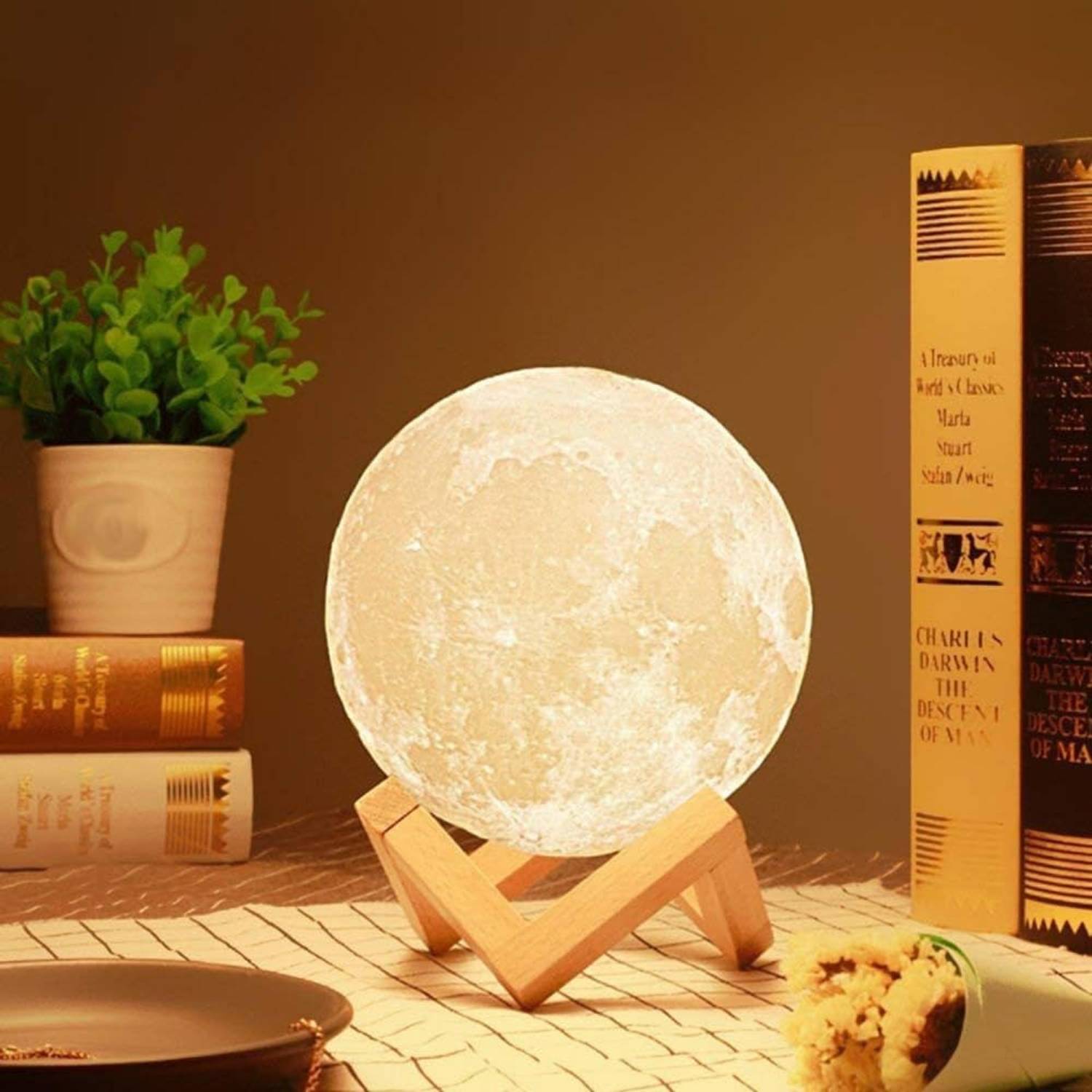 Dwiza Enterprise 3D 7 Color Changing Moon Night Rechargeable Led