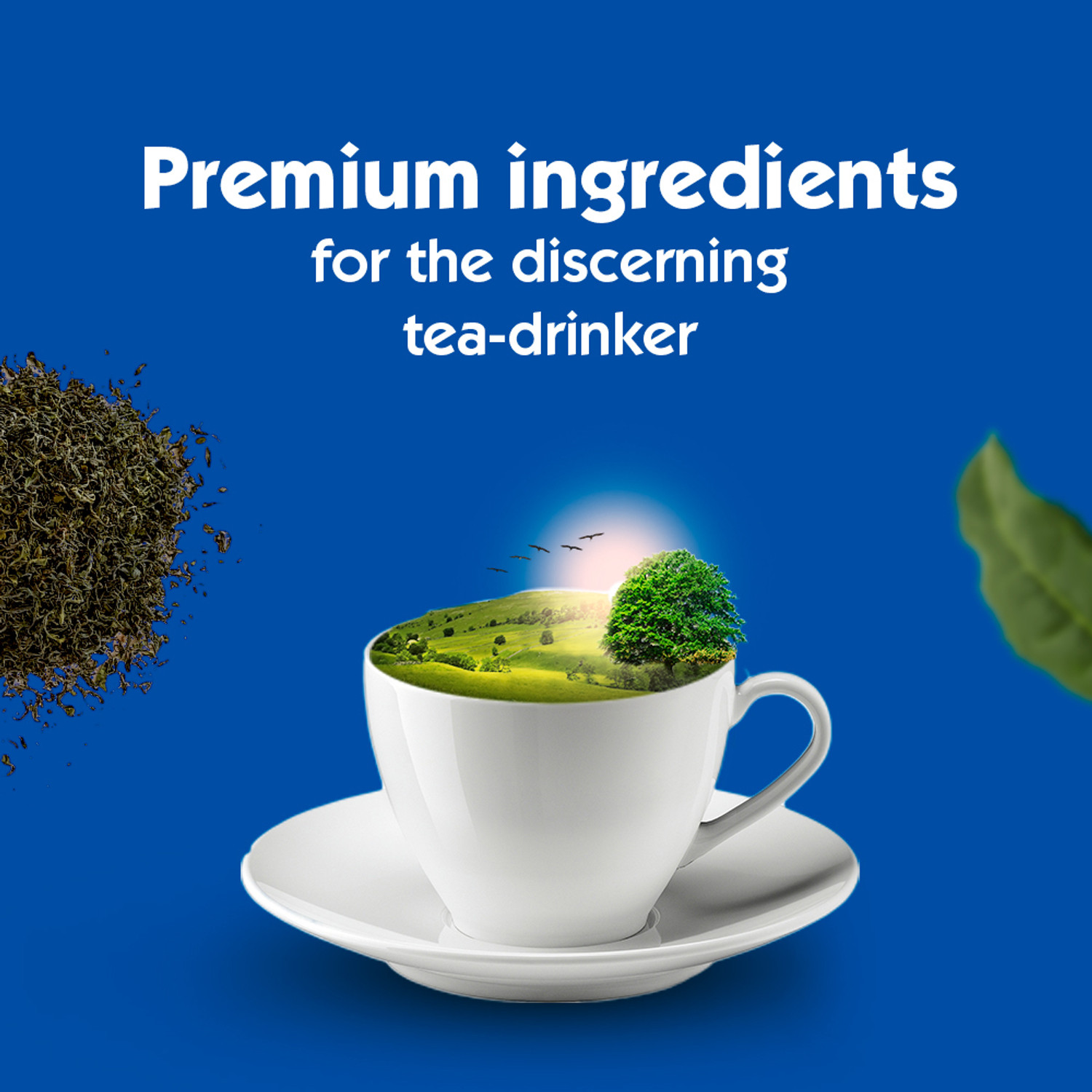 Image of Society Leaf Black Tea Pouch