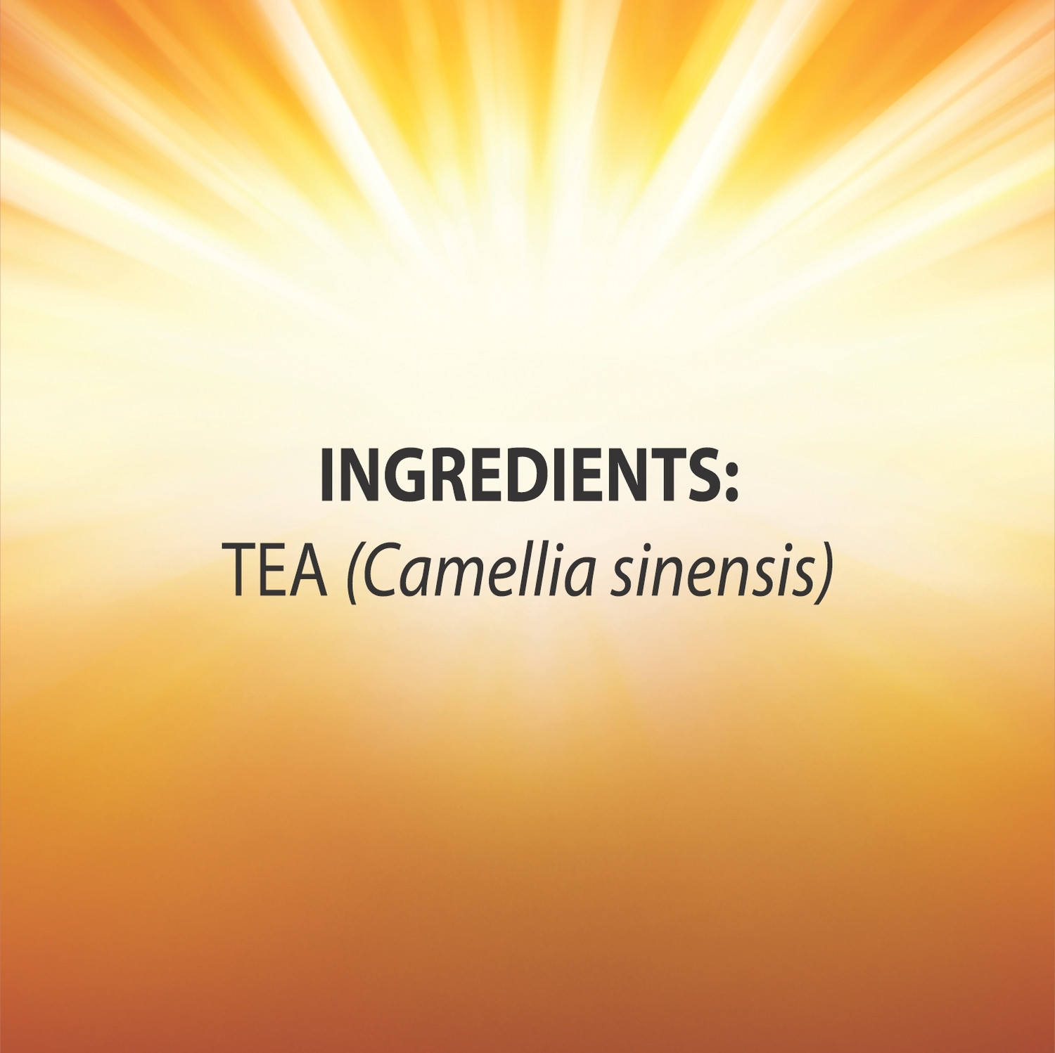 Image of Tea Valley Utsah Tea Black Tea Pouch