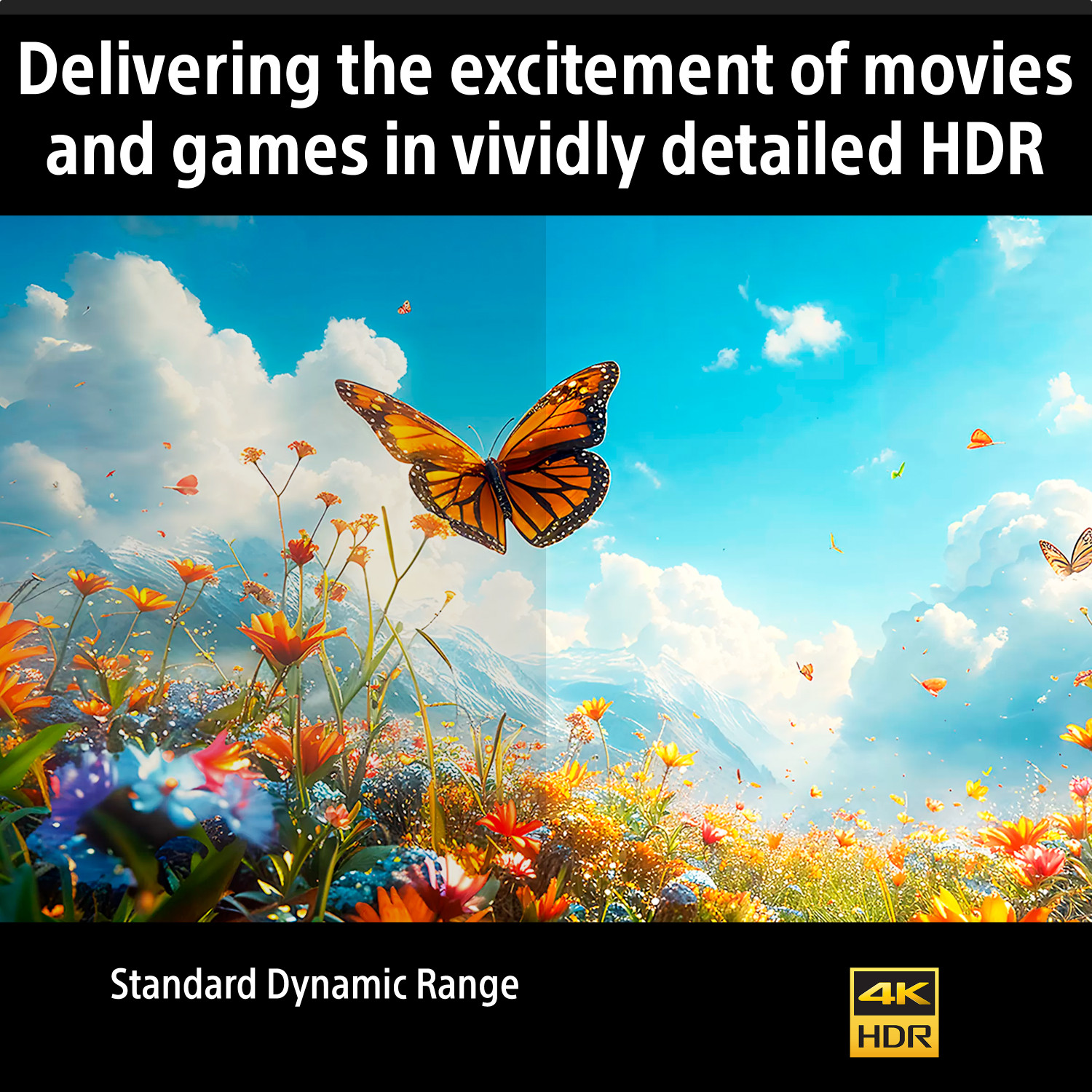 Image of SONY BRAVIA 2 II 108 cm (43 inch) Ultra HD (4K) LED Smart Google TV