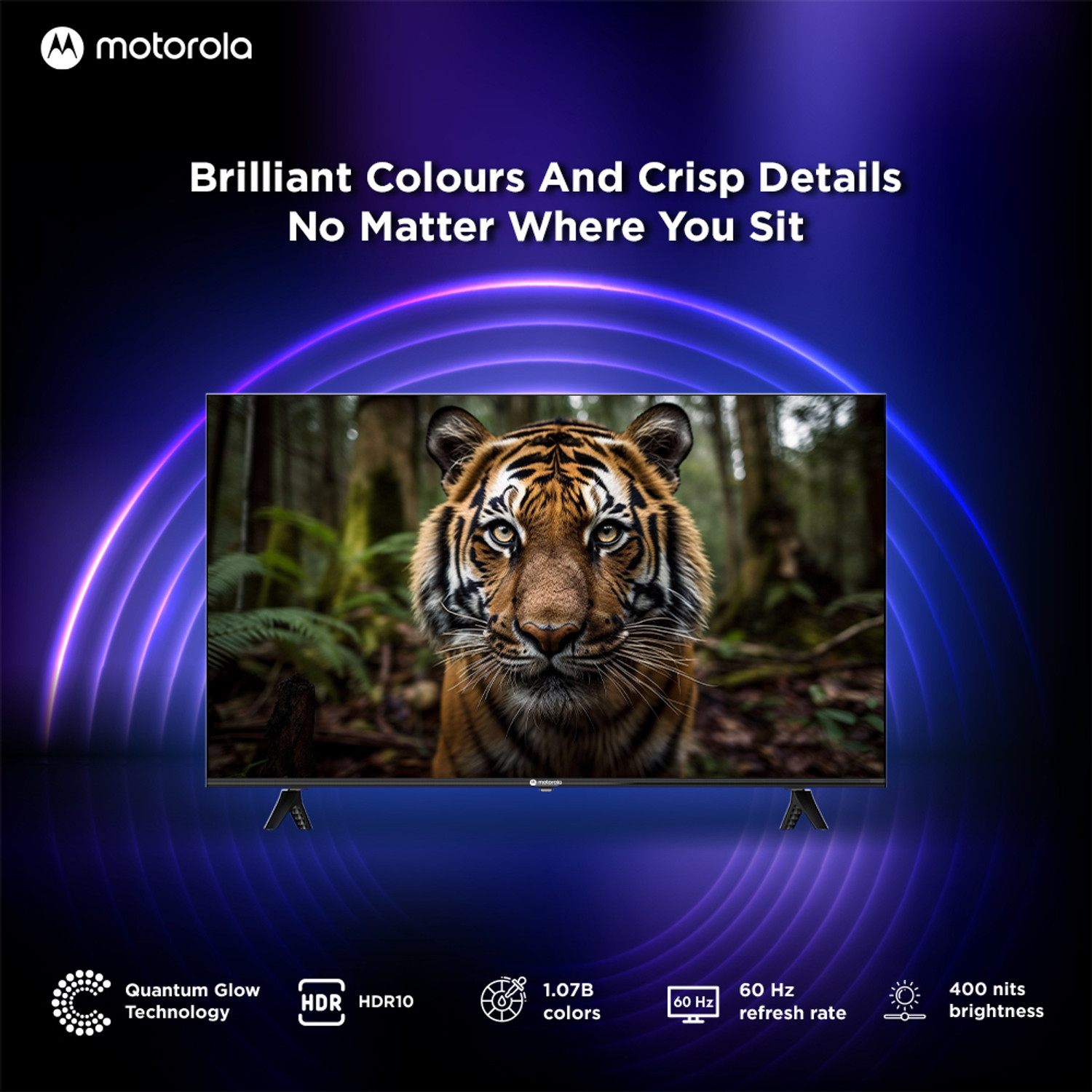 Image of MOTOROLA EnvisionX 165 cm (65 inch) QLED Ultra HD (4K) Smart Google TV with Dolby Vision and Dolby Atmos